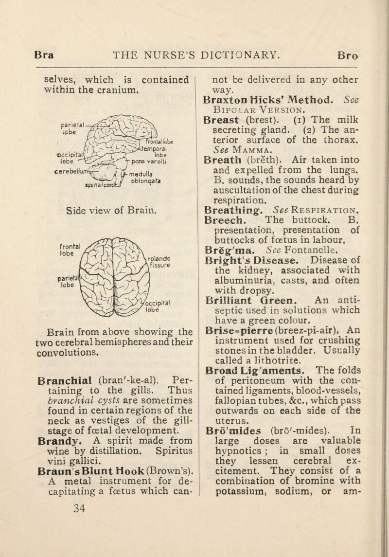 selves, which is contained | within the cranium. I Side view of Brain. Brain from above showing the 1 two cerebral hemispheres and their ! convolutions. I Branchial (bran'-ke-al). Per¬ taining to the gills. Thus branchial cysts are sometimes found in certain regions of the neck as vestiges of the gill- stage of foetal development. Brandy. A spirit made from wine by distillation. Spiritus vini gallici. Braun's Blunt Hook (Brown’s). A metal instrument for de¬ capitating a foetus which can¬ 34 not be delivered in any other way. Braxton Hicks' Method. See Bipo'.ar Version. Breast (brest). (i) The milk secreting gland. (2) The an¬ terior surface of the thorax. See Mamma. Breath (breth). Air taken into and expelled from the lungs. B. sounds, the sounds heard by auscultation of the chest during respiration. Breathing. Respiration. Breech. The buttock. B. presentation, presentation of buttocks of foetus in labour. Brgg'ma. See Fontanelle. Bright’s Disease. Disease of the kidney, associated with albuminuria, casts, and often with dropsy. Brilliant Green. An anti¬ septic used in solutions which have a green colour. Brise=pierre(breez-pi-air). An instrument used for crushing stones in the bladder. Usually called a lithotrite. Broad Lig'aments. The folds of peritoneum with the con¬ tained ligaments, blood-vessels, fallopian tubes, &c., which pass outwards on each side of the uterus. Bro'mides (bro'-mides). In large doses are valuable hypnotics ; in small doses they lessen cerebral ex¬ citement. They consist of a combination of bromine with potassium, sodium, or am-