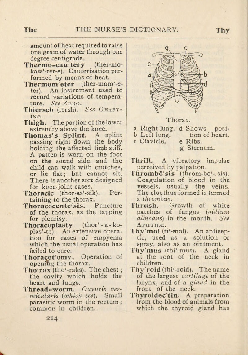 amount of heat required to raise one gram of water through one degree centigrade. Thermo-cau'tery (ther-mo- kaw'-ter-e). Cauterisation per¬ formed by means of heat. Thermom'eter (ther-mom'-e- ter). An instrument used to record variations of tempera¬ ture. See Zero. Thiersch (tersh). See Graft¬ ing. Thigh. The portion ot the lower extremity above the knee. Thomas’s Splint. A splint passing right down the body holding the affected limb stiff. A patten is worn on the foot on the sound side, and the child can walk with crutches, or lie flat; but cannot sit. There is another sort designed for knee joint cases. Thoracic (thor-as'-sik). Per¬ taining to the thorax. Thoracocente'sis. Puncture of the thorax, as the tapping for pleurisy. Thoracoplasty (thor'-a-ko- plas'-te). An extensive opera¬ tion for cases of empyema which the usual operation has failed to cure. Thoracot'omy. Operation of opening the thorax. Tho'rax (tho'-raks). The chest ; the cavity which holds the heart and lungs. Thread-worm. Oxyuris ver- micularis {which see). Small parasitic worm in the rectum ; common in children. Thorax. a Right lung, d Shows posi- b Left lung. tion of heart, c Clavicle. e Ribs. g Sternum. Thrill. A vibratory impulse perceived by palpation. Thrombo'sis (throm-bo'-.sis). Coagulation of blood in the vessels, usually the veins. The clot thus formed is termed a thrombus. Thrush. Growth of white patches of fungus (oidium albicans) in the mouth. See A.VHTHM. Thy'mol (ti'-mol). An antisep¬ tic, used as a solution or spray, also as an ointment. Thy'mus (thi'-mus). A gland at the root of the neck in children. Thy'roid (thi'-roid). The name of the largest cartilage of the larynx, and of a gland in the front of the neck. Thyroidec'tin. A preparation from the blood of animals from which the thyroid gland has