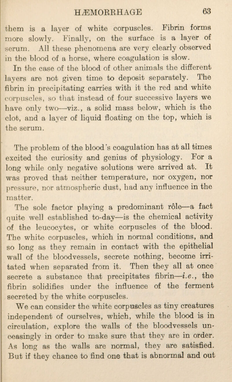 them is a layer of white corpuscles. Fibrin forms more slowly. Finally, on the surface is a layer of serum. All these phenomena are very clearly observed in the blood of a horse, where coagulation is slow. In the case of the blood of other animals the different I layers are not given time to deposit separately. The Î fibrin in precipitating carries with it the red and white corpuscles, so that instead of four successive layers we have onlv two—viz., a solid mass below, which is the clot, and a layer of liquid floating on the top, which is the serum. The problem of the blood’s coagulation has at all times excited the curiosity and genius of physiology. For a long while only negative solutions were arrived at. It was proved that neither temperature, nor oxygen, nor ]iressure, nor atmospheric dust, had any influence in the matter. The sole factor playing a predominant rôle—a fact quite well established to-day—is the chemical activity of the leucocytes, or white corpuscles of the blood. The white corpuscles, which in normal conditions, and so long as they remain in contact with the epithelial wall of the bloodvessels, secrete nothing, become irri¬ tated when separated from it. Then they all at once secrete a substance that precipitates fibrin—i.6., the fibrin solidifies under the influence of the ferment secreted by the white corpuscles. We can consider the white corpuscles as tiny creatures independent of ourselves, which, while the blood is in circulation, explore the walls of the bloodvessels un¬ ceasingly in order to make sure that they are in order. As long as the walls are normal, they are satisfied. But if they chance to find one that is abnormal and out