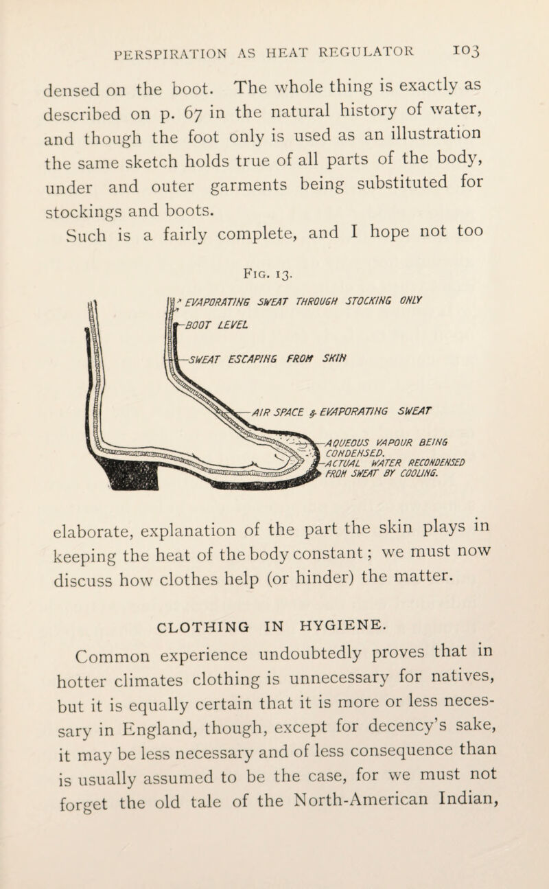 densed on the boot. The whole thing is exactly as described on p. 67 in the natural history of water, and though the foot only is used as an illustration the same sketch holds true of all parts of the body, under and outer garments being substituted for stockings and boots. Such is a fairly complete, and I hope not too Fig. 13. elaborate, explanation of the part the skin plays in keeping the heat of the body constant; we must now discuss how clothes help (or hinder) the matter. CLOTHING IN HYGIENE. Common experience undoubtedly proves that in hotter climates clothing is unnecessary for natives, but it is equally certain that it is more or less neces¬ sary in England, though, except for decency’s sake, it may be less necessary and of less consequence than is usually assumed to be the case, for we must not forget the old tale of the North-American Indian,