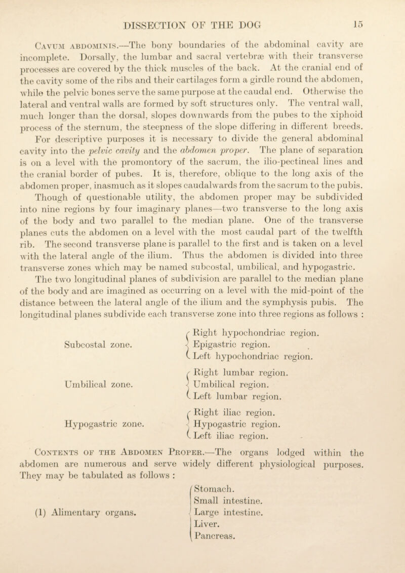 Cavum abdominis.—The bony boundaries of the abdominal cavity are incomplete. Dorsally, the lumbar and sacral vertebrae with their transverse processes are covered by the thick muscles of the back. At the cranial end of the cavitv some of the ribs and their cartilages form a girdle round the abdomen, while the pelvic bones serve the same purpose at the caudal end. Otherwise the lateral and ventral walls are formed by soft structures only. The ventral wall, much longer than the dorsal, slopes downwards from the pubes to the xiphoid process of the sternum, the steepness of the slope differing in different breeds. For descriptive purposes it is necessary to divide the general abdominal cavity into the pelvic cavity and the abdomen proper. The plane of separation is on a level with the promontory of the sacrum, the ilio-pectineal lines and the cranial border of pubes. It is, therefore, oblique to the long axis of the abdomen proper, inasmuch as it slopes caudal wards from the sacrum to the pubis. Though of questionable utility, the abdomen proper may be subdivided into nine regions by four imaginary planes—two transverse to the long axis of the body and two parallel to the median plane. One of the transverse planes cuts the abdomen on a level with the most caudal part of the twelfth rib. The second transverse plane is parallel to the first and is taken on a level with the lateral angle of the ilium. Thus the abdomen is divided into three transverse zones which may be named subcostal, umbilical, and hypogastric. The two longitudinal planes of subdivision are parallel to the median plane of the body and are imagined as occurring on a level with the mid-point of the distance between the lateral angle of the ilium and the symphysis pubis. The longitudinal planes subdivide each transverse zone into three regions as follows : r Eight hypochondriac region. < Epigastric region. (. Left hypochondriac region. r Right lumbar region. ■ Umbilical region, v Left lumbar region. r Right iliac region. Hypogastric region. ( Left iliac region. Contents of the Abdomen Proper.—The organs lodged within the abdomen are numerous and serve widely different physiological purposes. They may be tabulated as follows : r Stomach. Small intestine. (1) Alimentary organs. Large intestine. Liver. Pancreas. Subcostal zone. Lhnbilical zone. Hypogastric zone.