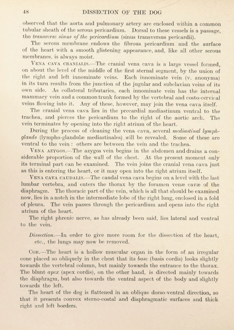 observed that the aorta and pulmonary artery are enclosed within a common tubular sheath of the serous pericardium. Dorsal to these vessels is a passage, the transverse sinus of the 'pericardium (sinus transversus pericardii). The serous membrane endows the fibrous pericardium and the surface of the heart with a smooth glistening appearance, and, like all other serous membranes, is always moist. Vena cava cranialis.—The cranial vena cava is a large vessel formed, on about the level of the middle of the first sternal segment, by the union of the right and left innominate veins. Each innominate vein (v. anonyma) in its turn results from the junction of the jugular and subclavian veins of its own side. As collateral tributaries, each innominate vein lias the internal mammary vein and a common trunk formed by the vertebral and costo-cervical veins flowing into it. Any of these, however, may join the vena cava itself. The cranial vena cava lies in the precardial mediastinum ventral to the trachea, and pierces the pericardium to the right of the aortic arch. The vein terminates by opening into the right atrium of the heart. During the process of cleaning the vena cava, several mediastinal lymph- glands (lympho-glandulse mediastinales) will be revealed. Some of these are ventral to the vein : others are between the vein and the trachea. Vena azygos.—The azygos vein begins in the abdomen and drains a con¬ siderable proportion of the wall of the chest. At the present moment only its terminal part can be examined. The vein joins the cranial vena cava just as this is entering the heart, or it may open into the right atrium itself. Vena cava cattdalis.—The caudal vena cava begins on a level with the last lumbar vertebra, and enters the thorax by the foramen venae cavae of the diaphragm. The thoracic part of the vein, which is all that should be examined now, lies in a notch in the intermediate lobe of the right lung, enclosed in a fold of pleura. The vein passes through the pericardium and opens into the right atrium of the heart. The right phrenic nerve, as has already been said, lies lateral and ventral to the vein. Dissection.—In order to give more room for the dissection of the heart, etc., the lungs may now be removed. Cor.—The heart is a hollow muscular organ in the form of an irregular cone placed so obliquely in the chest that its base (basis cordis) looks slightly towards the vertebral column, but mainly towards the entrance to the thorax. The blunt apex (apex cordis), on the other hand, is directed mainly towards the diaphragm, but also towards the ventral aspect of the body and slightly towards the left. The heart of the dog is flattened in an oblique dorso-ventral direction, so that it presents convex sterno-costal and diaphragmatic surfaces and thick right and left borders.