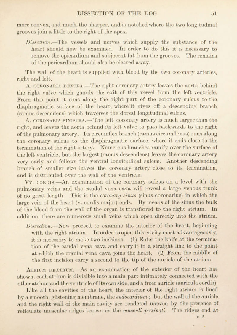 more convex, and much the sharper, and is notched where the two longitudinal grooves join a little to the right of the apex. Dissection.—The vessels and nerves which supply the substance of the heart should now be examined. In order to do this it is necessary to remove the epicardium and subjacent fat from the grooves. The remains of the pericardium should also be cleared awray. The wall of the heart is supplied with blood by the two coronary arteries, right and left. A. coronaria dextra.—The right coronary artery leaves the aorta behind the right valve which guards the exit of this vessel from the left ventricle. From this point it runs along the right part of the coronary sulcus to the diaphragmatic surface of the heart, where it gives off a descending branch (ramus descendens) which traverses the dorsal longitudinal sulcus. A. coronaria sinistra.— The left coronary artery is much larger than the right, and leaves the aorta behind its left valve to pass backwards to the right of the pulmonary artery. Its circumflex branch (ramus circumflexus) runs along the coronary sulcus to the diaphragmatic surface, where it ends close to the termination of the right artery. Numerous branches ramify over the surface of the left ventricle, but the largest (ramus descendens) leaves the coronary artery very early and follows the ventral longitudinal sulcus. Another descending branch of smaller size leaves the coronary artery close to its termination, and is distributed over the wall of the ventricle. Vv. cordis.—An examination of the coronary sulcus on a level with the pulmonary veins and the caudal vena cava will reveal a large venous trunk of no great length. This is the coronary sinus (sinus coronarius) in which the large vein of the heart (v. cordis major) ends. By means of the sinus the bulk of the blood from the wall of the organ is transferred to the right atrium. In addition, there are numerous small veins which open directly into the atrium. Dissection.—Now proceed to examine the interior of the heart, beginning with the right atrium. In order to open this cavity most advantageously, it is necessary to make two incisions. (1) Enter the knife at the termina¬ tion of the caudal vena cava and carry it in a straight line to the point at which the cranial vena cava joins the heart. (2) From the middle of the first incision carry a second to the tip of the auricle of the atrium. Atrium dextrum.—As an examination of the exterior of the heart has shown, each atrium is divisible into a main part intimately connected with the other atrium and the ventricle of its own side, and a freer auricle (auricula cordis). Like all the cavities of the heart, the interior of the right atrium is lined by a smooth, glistening membrane, the endocardium ; but the wall of the auricle and the right wall of the main cavity are rendered uneven by the presence of reticulate muscular ridges known as the musculi pectinati. The ridges end at