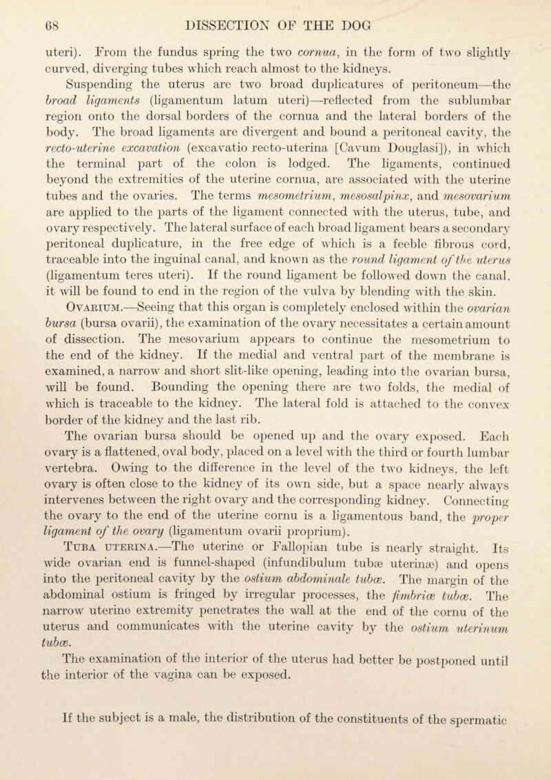 uteri). From the fundus spring the two cornua, in the form of two slightly curved, diverging tubes which reach almost to the kidneys. Suspending the uterus are two broad duplicatures of peritoneum—the broad ligaments (ligamentum latum uteri)—reflected from the sublumbar region onto the dorsal borders of the cornua and the lateral borders of the body. The broad ligaments are divergent and bound a peritoneal cavity, the recto-uterine excavation (excavatio recto-uterina [Cavum Douglasi]), in which the terminal part of the colon is lodged. The ligaments, continued beyond the extremities of the uterine cornua, are associated with the uterine tubes and the ovaries. The terms mesometrium, mesosalpinx, and mesovarium are applied to the parts of the ligament connected with the uterus, tube, and ovary respectively. The lateral surface of each broad ligament bears a secondary peritoneal duplicature, in the free edge of which is a feeble fibrous cord, traceable into the inguinal canal, and known as the round ligament of the uterus (ligamentum teres uteri). If the round ligament be followed down the canal, it will be found to end in the region of the vulva by blending with the skin. Ovarium.—Seeing that this organ is completely enclosed within the ovarian bursa (bursa ovarii), the examination of the ovary necessitates a certain amount of dissection. The mesovarium appears to continue the mesometrium to the end of the kidney. If the medial and ventral part of the membrane is examined, a narrow and short slit-like opening, leading into the ovarian bursa, will be found. Bounding the opening there are two folds, the medial of which is traceable to the kidney. The lateral fold is attached to the convex border of the kidney and the last rib. The ovarian bursa should be opened up and the ovary exposed. Each ovary is a flattened, oval body, placed on a level with the third or fourth lumbar vertebra. Owing to the difference in the level of the two kidneys, the left ovary is often close to the kidney of its own side, but a space nearly always intervenes between the right ovary and the corresponding kidney. Connecting the ovary to the end of the uterine cornu is a ligamentous band, the proper ligament of the ovary (ligamentum ovarii proprium). Tuba uterina.—The uterine or Fallopian tube is nearly straight. Its wide ovarian end is funnel-shaped (infundibulum tubse uterinse) and opens into the peritoneal cavity by the ostium abdominale tubce. The margin of the abdominal ostium is fringed by irregular processes, the fimbrice tubce. The narrow uterine extremity penetrates the wall at the end of the cornu of the uterus and communicates with the uterine cavity by the ostium uterinum tubce. The examination of the interior of the uterus had better be postponed until the interior of the vagina can be exposed. If the subject is a male, the distribution of the constituents of the spermatic