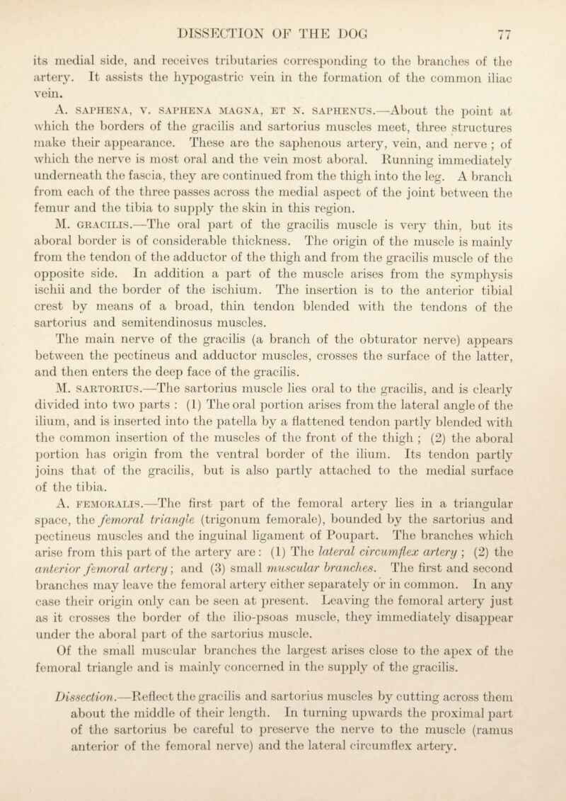 / i its medial side, and receives tributaries corresponding to the branches of the artery. It assists the hypogastric vein in the formation of the common iliac vein. A. SAPHENA, V. SAPHENA MAGNA, ET N. SAPHENUS.—About the point at which the borders of the gracilis and sartorius muscles meet, three structures make their appearance. These are the saphenous artery, vein, and nerve ; of which the nerve is most oral and the vein most aboral. Running immediately underneath the fascia, they are continued from the thigh into the leg. A branch from each of the three passes across the medial aspect of the joint between the femur and the tibia to supply the skin in this region. M. gracilis.—The oral part of the gracilis muscle is very thin, but its aboral border is of considerable thickness. The origin of the muscle is mainly from the tendon of the adductor of the thigh and from the gracilis muscle of the opposite side. In addition a part of the muscle arises from the symphysis ischii and the border of the ischium. The insertion is to the anterior tibial crest by means of a broad, thin tendon blended with the tendons of the sartorius and semitendinosus muscles. The main nerve of the gracilis (a branch of the obturator nerve) appears between the pectineus and adductor muscles, crosses the surface of the latter, and then enters the deep face of the gracilis. M. sartorius.—The sartorius muscle lies oral to the gracilis, and is clearly divided into two parts : (1) The oral portion arises from the lateral angle of the ilium, and is inserted into the patella by a flattened tendon partly blended with the common insertion of the muscles of the front of the thigh ; (2) the aboral portion has origin from the ventral border of the ilium. Its tendon partly joins that of the gracilis, but is also partly attached to the medial surface of the tibia. A. femoralis.—The first part of the femoral artery lies in a triangular space, the femoral triangle (trigonum femorale), bounded by the sartorius and pectineus muscles and the inguinal ligament of Poupart. The branches which arise from this part of the artery are: (1) The lateral circumflex artery ; (2) the anterior femoral artery; and (3) small muscular branches. The first and second branches may leave the femoral artery either separately or in common. In any case their origin only can be seen at present. Leaving the femoral artery just as it crosses the border of the ilio-psoas muscle, they immediately disappear under the aboral part of the sartorius muscle. Of the small muscular branches the largest arises close to the apex of the femoral triangle and is mainly concerned in the supply of the gracilis. Dissection.—Reflect the gracilis and sartorius muscles by cutting across them about the middle of their length. In turning upwards the proximal part of the sartorius be careful to preserve the nerve to the muscle (ramus anterior of the femoral nerve) and the lateral circumflex artery.