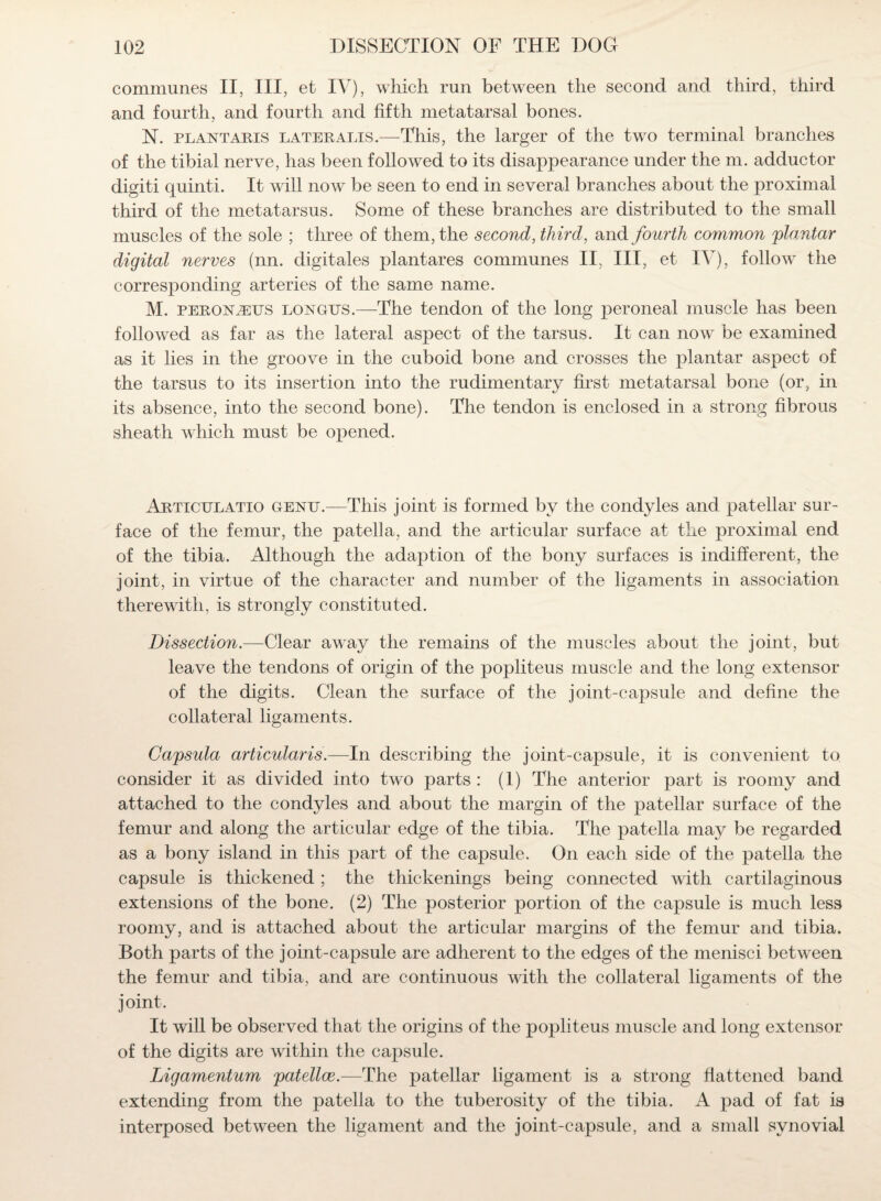 communes II, III, et IV), which run between the second and third, third and fourth, and fourth and fifth metatarsal bones. N. plantaris lateralis.—This, the larger of the two terminal branches of the tibial nerve, has been followed to its disappearance under the m. adductor digit! quinti. It will now be seen to end in several branches about the proximal third of the metatarsus. Some of these branches are distributed to the small muscles of the sole ; three of them, the second, third, and fourth common plantar digital nerves (nn. digitales plantares communes II, III, et IV), follow the corresponding arteries of the same name. M. peroisleus longus.—The tendon of the long peroneal muscle has been followed as far as the lateral aspect of the tarsus. It can now be examined as it lies in the groove in the cuboid bone and crosses the plantar aspect of the tarsus to its insertion into the rudimentary first metatarsal bone (or, in its absence, into the second bone). The tendon is enclosed in a strong fibrous sheath which must be ojiened. Articulatio genu.—This joint is formed by the condyles and patellar sur¬ face of the femur, the patella, and the articular surface at the proximal end of the tibia. Although the adaption of the bony surfaces is indifferent, the joint, in virtue of the character and number of the ligaments in association therewith, is strongly constituted. Dissection— Clear away the remains of the muscles about the joint, but leave the tendons of origin of the popliteus muscle and the long extensor of the digits. Clean the surface of the joint-capsule and define the collateral ligaments. Gapsula articularis.—In describing the joint-capsule, it is convenient to consider it as divided into two parts: (1) The anterior part is roomy and attached to the condyles and about the margin of the patellar surface of the femur and along the articular edge of the tibia. The patella may be regarded as a bony island in this part of the capsule. On each side of the patella the capsule is thickened ; the thickenings being connected with cartilaginous extensions of the bone. (2) The posterior portion of the capsule is much less roomy, and is attached about the articular margins of the femur and tibia. Both parts of the joint-capsule are adherent to the edges of the menisci between the femur and tibia, and are continuous with the collateral ligaments of the joint. It will be observed that the origins of the popliteus muscle and long extensor of the digits are within the capsule. Ligamentum patellce.—The patellar ligament is a strong flattened band extending from the patella to the tuberosity of the tibia. A pad of fat is interposed between the ligament and the joint-capsule, and a small synovial