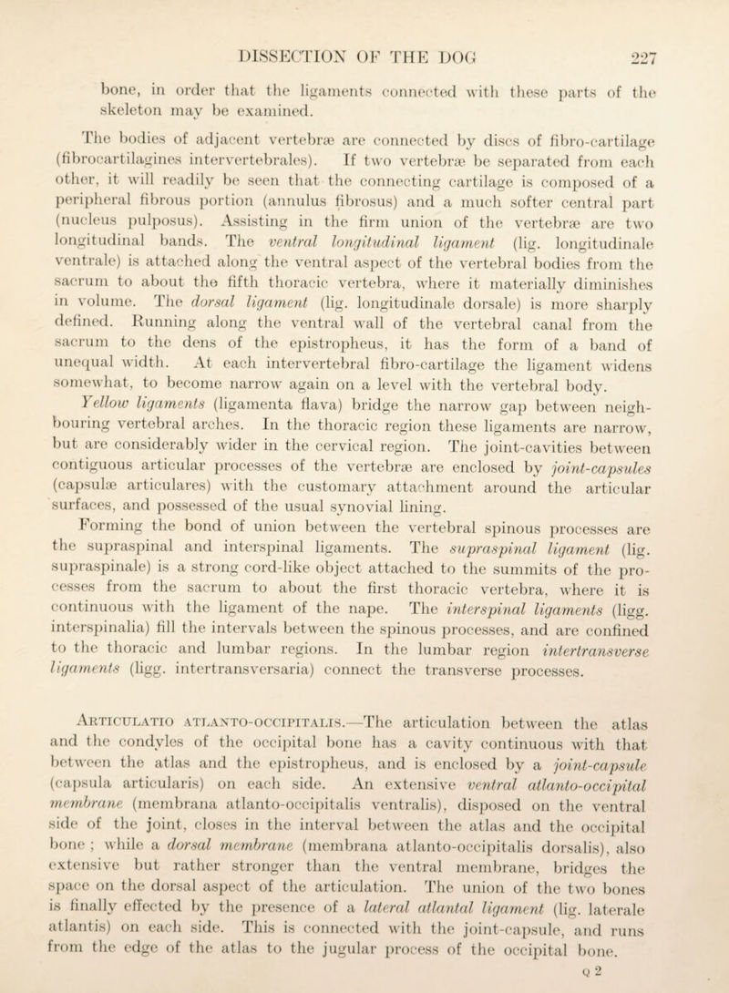 bone, in order that the ligaments connected with these parts of the skeleton mav be examined. V The bodies of adjacent vertebrae are connected by discs of fibro-cartilage (fibrocartilagines intervertebrales). If two vertebrae be separated from each other, it will readily be seen that the connecting cartilage is composed of a peripheral fibrous portion (annulus fibrosus) and a much softer central part (nucleus pulposus). Assisting in the firm union of the vertebrae are two longitudinal bands. The ventral longitudinal ligament (lig. longitudinale ventrale) is attached along the ventral aspect of the vertebral bodies from the sacrum to about the fifth thoracic vertebra, where it materially diminishes in volume. The dorsal ligament (lig. longitudinale dorsale) is more sharply defined. Running along the ventral wall of the vertebral canal from the sacrum to the dens of the epistropheus, it has the form of a band of unequal width. At each intervertebral fibro-cartilage the ligament widens somewhat, to become narrow again on a level with the vertebral body. Yellow ligaments (ligamenta flava) bridge the narrow gap between neigh¬ bouring vertebral arches. In the thoracic region these ligaments are narrow, but are considerably wider in the cervical region. The joint-cavities between contiguous articular processes of the vertebrae are enclosed by joint-capsules (capsulae articulares) with the customary attachment around the articular surfaces, and possessed of the usual synovial lining. 1 orming the bond of union between the vertebral spinous processes are the supraspinal and interspinal ligaments. The supraspinal ligament (lig. supraspinale) is a strong corcl-like object attached to the summits of the pro¬ cesses from the sacrum to about the first thoracic vertebra, where it is continuous with the ligament of the nape. The interspinal ligaments (ligg. interspinalia) fill the intervals between the spinous processes, and are confined to the thoracic and lumbar regions. In the lumbar region inter transverse ligaments (ligg. intertransversaria) connect the transverse processes. Articulatio atlanto-occipitalis.—The articulation between the atlas and the condyles of the occipital bone has a cavity continuous with that between the atlas and the epistropheus, and is enclosed by a joint-capsule (capsula articularis) on each side. An extensive ventral atlanto-occipital membrane (membrana atlanto-occipitalis ventralis), disposed on the ventral side of the joint, closes in the interval between the atlas and the occipital bone ; while a dorsal membrane (membrana atlanto-occipitalis dorsalis), also extensive but rather stronger than the ventral membrane, bridges the space on the dorsal aspect of the articulation. The union of the two bones is finally effected by the presence of a lateral atlantal ligament (lig. laterale atlantis) on each side. This is connected with the joint-capsule, and runs from the edge of the atlas to the jugular process of the occipital bone.