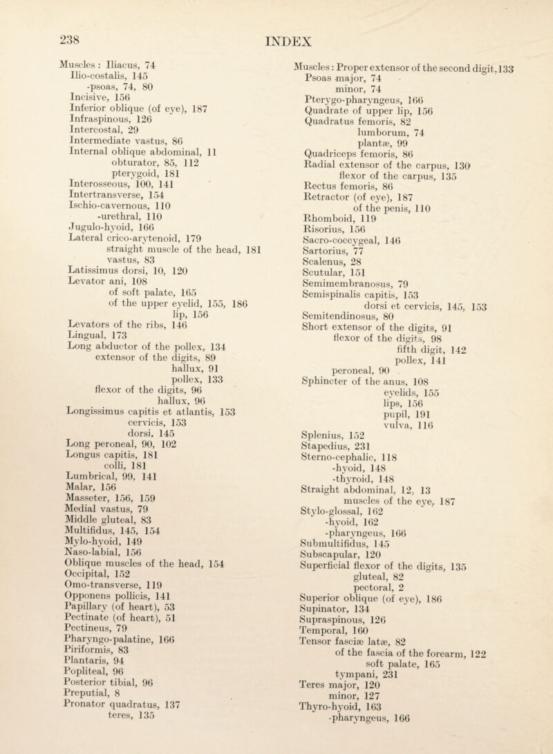 Muscles : Iliacus, 74 Uio-costalis, 145 -psoas, 74, 80 Incisive, 156 Inferior oblique (of eye), 187 Infraspinous, 126 Intercostal, 29 Intermediate vastus, 86 Internal oblique abdominal, 11 obturator, 85, 112 pterygoid, 181 Interosseous, 100, 141 Intertrans verse, 154 Ischio-cavernous, 110 -urethral, 110 Jugulo-hyoid, 166 Lateral crico-arytenoid, 179 straight muscle of the head, 181 vastus, 83 Latissimus dorsi, 10, 120 Levator ani, 108 of soft palate, 165 of the upper eyelid, 155, 186 lip, 156 Levators of the ribs, 146 Lingual, 173 Long abductor of the pollex, 134 extensor of the digits, 89 hallux, 91 pollex, 133 flexor of the digits, 96 hallux, 96 Longissimus capitis et atlantis, 153 cervicis, 153 dorsi, 145 Long peroneal, 90, 102 Longus capitis, 181 colli, 181 Lumbrical, 99, 141 Malar, 156 Masseter, 156, 159 Medial vastus, 79 Middle gluteal, 83 Multifidus, 145, 154 Mylo-hyoid, 149 Naso-labial, 156 Oblique muscles of the head, 154 Occipital, 152 Omo-transverse, 119 Opponens pollicis, 141 Papillary (of heart), 53 Pectinate (of heart), 51 Pectineus, 79 P haryngo-palatine, 166 Piriformis, 83 Plantaris, 94 Popliteal, 96 Posterior tibial, 96 Preputial, 8 Pronator quadratus, 137 teres, 135 Muscles: Proper extensor of the second digit, 133 Psoas -major, 74 minor, 74 Pterygo-pharyngeus, 166 Quadrate of upper lip, 156 Quadratus femoris, 82 lumborum, 74 plantae, 99 Quadriceps femoris, 86 Radial extensor of the carpus, 130 flexor of the carpus, 135 Rectus femoris, 86 Retractor (of eye), 187 of the penis, 110 Rhomboid, 119 Risorius, 156 Sacro-coccygeal, 146 Sartorius, 77 Scalenus, 28 Scutular, 151 Semimembranosus, 79 Semispinalis capitis, 153 dorsi et cervicis, 145, 153 Semitendinosus, 80 Short extensor of the digits, 91 flexor of the digits, 98 fifth digit, 142 pollex, 141 peroneal, 90 Sphincter of the anus, 108 eyelids, 155 lips, 156 pupil, 191 vulva, 116 Splenius, 152 Stapedius, 231 Sterno-cephalic, 118 -hyoid, 148 -thyroid, 148 Straight abdominal, 12, 13 muscles of the eye, 187 Stylo-glossal, 162 -hyoid, 162 -pharyngeus, 166 Submultifidus, 145 Subscapular, 120 Superficial flexor of the digits, 135 gluteal, 82 pectoral, 2 Superior oblique (of eye), 186 Supinator, 134 Supraspinous, 126 Temporal, 160 Tensor fasciae latae, 82 of the fascia of the forearm, 122 soft palate, 165 tympani, 231 Teres major, 120 minor, 127 Thyro-hyoid, 163