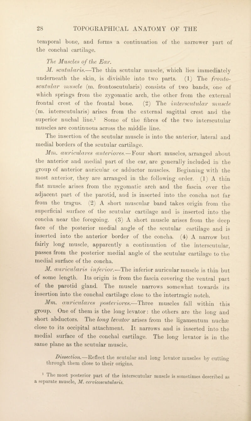 temporal bone, and forms a continuation of the narrower part of the conchal cartilage. The Muscles of the Ear. M. scutularis.—The thin scutular muscle, which lies immediately underneath the skin, is divisible into two parts. (1) The fronto- scutular muscle (m. frontoscutularis) consists of two bands, one of which springs from the zygomatic arch, the other from the external frontal crest of the frontal bone. (2) The interscutular muscle (m. interscutularis) arises from the external sagittal crest and the superior nuchal line.^ Some of the fibres of the two interscutular muscles are continuous across the middle line. The insertion of the scutular muscle is into the anterior, lateral and medial borders of the scutular cartilage. Mm. auriculares anteriores.—Four short muscles, arranged about the anterior and medial part of the ear, are generally included in the group of anterior auricular or adductor muscles. Beginning with the most anterior, they are arranged in the following order. (1) A thin fiat muscle arises from the zygomatic arch and the fascia over the adjacent part of the parotid, and is inserted into the concha not far from the tragus. (2) A short muscular band takes origin from the superficial surface of the scutular cartilage and is inserted into the concha near the foregoing. (3) A short muscle arises from the deep face of the posterior medial angle of the scutular cartilage and is inserted into the anterior border of the concha. (4) A narrow but fairly long muscle, apparently a continuation of the interscutular, passes from the posterior medial angle of the scutular cartilage to the medial surface of the concha. ilf. auricidaris inferior.—The inferior auricular muscle is thin but of some length. Its origin is from the fascia covering the ventral part of the parotid gland. The muscle narrows somewhat towards its insertion into the conchal cartilage close to the intertragic notch. Mm. auriculares 'posteriores.—Three muscles fall within this group. One of them is the long levator: the others are the lono- and short abductors. The long levator arises from the ligamentum nuchge close to its occipital attachment. It narrows and is inserted into the medial surface of the conchal cartilage. The long levator is in the same plane as the scutular muscle. Dissection.—Reflect the scutular and long levator muscles by cutting through them close to their origins. ^ The most posterior part of the interscutular muscle is sometimes described as a sejiarate muscle, M. cervicoscutularis.