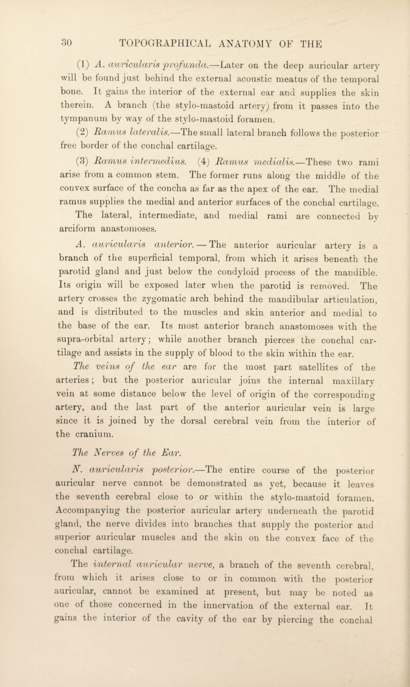 (1) A. avjricularis vrofhinda.—Later on the deep auricular artery will be found just behind the external acoustic meatus of the temporal bone. It gains the interior of the external ear and supplies the skin therein. A branch (the stylo-mastoid artery) from it passes into the tympanum by way of the stylo-mastoid foramen. (2) Ra'inus lateralis.—The small lateral branch follows the posterior free border of the conchal cartilao-e. (3) Ramus inlermedvits. (4) Ramus medialis.—These two rami arise from a common stem. The former runs along the middle of the convex surface of the concha as far as the apex of the ear. The medial ramus supplies the medial and anterior surfaces of the conchal cartilage. The lateral, intermediate, and medial rami are connected bv c/ arciform anastomoses. A. auricularis anterior. — The anterior auricular artery is a branch of the superficial temporal, from which it arises beneath the parotid gland and just below the condyloid process of the mandible. Its origin will be exposed later when the parotid is removed. The artery crosses the zygomatic arch behind the mandibular articulation, and is distributed to the muscles and skin anterior and medial to the base of the ear. Its most anterior branch anastomoses with the supra-orbital artery; while another branch pierces the conchal car¬ tilage and assists in the supply of blood to the skin within the ear. The veins of the ear are for the most part satellites of the arteries; but the posterior auricular joins the internal maxillary vein at some distance below the level of origin of the corresponding artery, and the last part of the anterior auricular vein is large since it is joined by the dorsal cerebral vein from the interior of the cranium. The Nerves of the Ear. N. auricularis 'posterior.—The entire course of the posterior auricular nerve cannot be demonstrated as yet, because it leaves the seventh cerebral close to or within the stylo-mastoid foramen. Accompanying the posterior auricular artery underneath the parotid gland, the nerve divides into branches that supply the posterior and superior auricular muscles and the skin on the convex face of the conchal cartilage. The internal auricular nerve, a branch of the seventh cerebral, from which it arises close to or in common with the posterior auricular, cannot be examined at present, but may be noted as one of those concerned in the innervation of the external ear. It gains the interior of the cavity of the ear by piercing the conchal