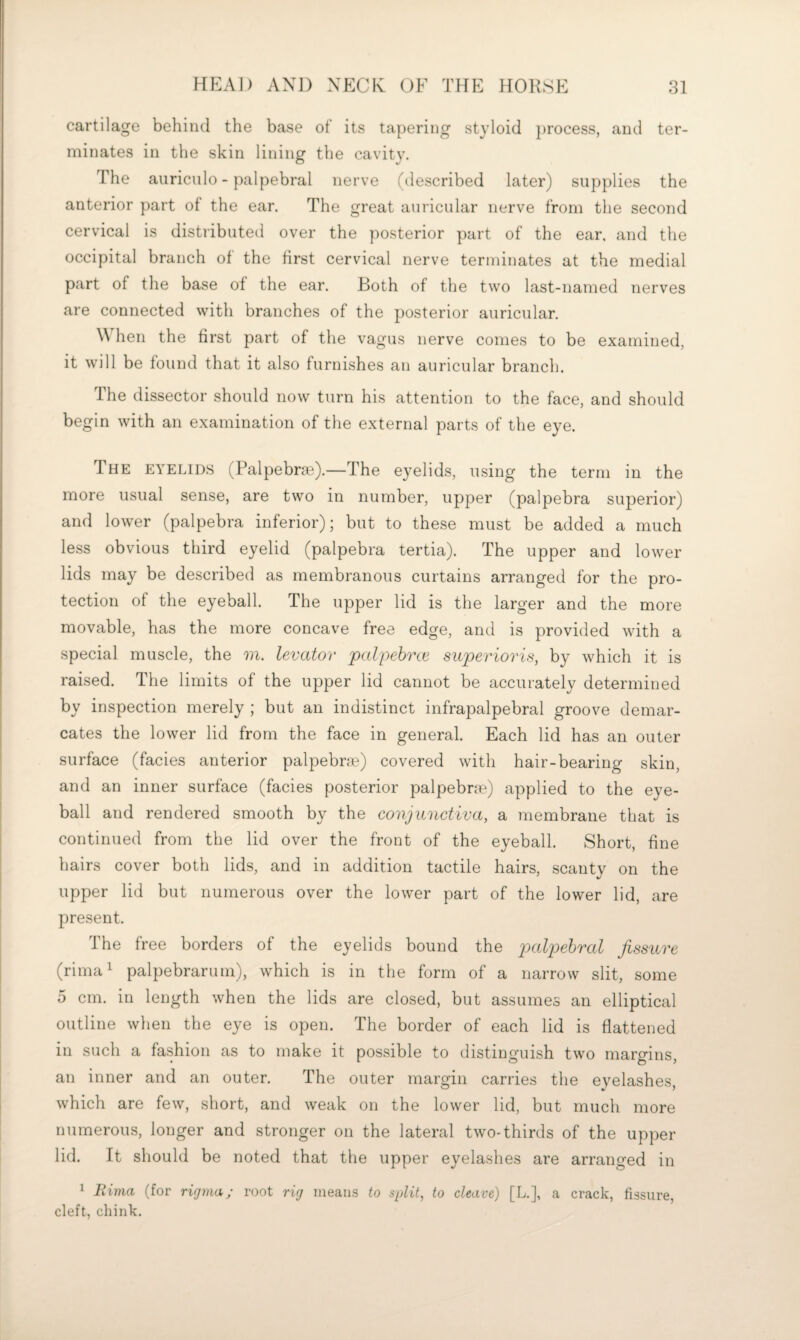 cartilage behind the base of its tapering styloid process, and ter¬ minates in the skin lining the cavity. The auriculo - palpebral nerve (described later) supplies the anterior part of the ear. The great auricular nerve from the second cervical is distributed over the posterior part of the ear, and the occipital branch of the first cervical nerve terminates at the medial part of the base of the ear. Roth of the two last-named nerves are connected with branches of the posterior auricular. W hen the first part of the vagus nerve comes to be examined, it will be found that it also furnishes an auricular branch. The dissector should now turn his attention to the face, and should begin with an examination of the external parts of the eye. The eyelids (Palpebra^?).—The e3^elids, using the term in the more usual sense, are two in number, upper (palpebra superior) and lower (palpebra inferior); but to these must be added a much less obvious third eyelid (palpebra tertia). The upper and lower lids may be described as membranous curtains arranged for the pro¬ tection of the eyeball. The upper lid is the larger and the more movable, has the more concave free edge, and is provided with a special muscle, the m. levator palpebrce superioris, by which it is raised. The limits of the upper lid cannot be accurately determined by inspection merely ; but an indistinct infrapalpebral groove demar¬ cates the lower lid from the face in general. Each lid has an outer surface (facies anterior palpebra?) covered with hair-bearing skin, and an inner surface (facies posterior palpebrce) applied to the eye¬ ball and rendered smooth by the conjunctiva, a membrane that is continued from the lid over the front of the eyeball. Short, fine hairs cover both lids, and in addition tactile hairs, scanty on the upper lid but numerous over the lower part of the lower lid, are present. The free borders of the eyelids bound the fissure (rima^ palpebrarum), which is in the form of a narrow slit, some 5 cm. in length when the lids are closed, but assumes an elliptical outline when the eye is open. The border of each lid is flattened in such a fashion as to make it possible to distinguish two margins, an inner and an outer. The outer margin carries the eyelashes, which are few, short, and weak on the lower lid, but much more numerous, longer and stronger on the lateral two-thirds of the upper lid. It should be noted that the upper eyelashes are arranged in ^ llima (for rigina; root rig means to sidit, to cleave) [L.], a crack, fissure, cleft, chink.