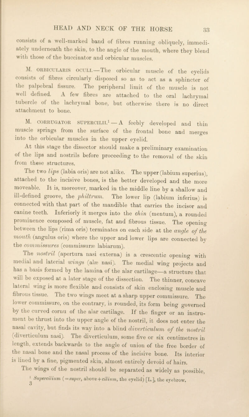 consists of a well-marked band of fibres runnino’ obliquely, immedi- ately underneath the skin, to the angle of the mouth, where they blend with those of the buccinator and orbicular muscles. yi ORBICULARIS ocuLL —The Orbicular muscle of the eyelids consists of fibres circularly disposed so as to act as a sphincter of the palpebral Hssure. The peripheral limit of the muscle is not well defined. A few fibres are attached to the oral lachrymal tubercle of the lachrymal bone, but otherwise there is no direct attachment to bone. M. CORRUGATOR SUPERCILII.I — A feebly developed and thin muscle springs from the surface of the frontal bone and merges into the orbicular muscles in the upper eyelid. At this stage the dissector sliould make a preliminary examination of the bps and nostrils before proceeding to the removal of the skin from these structures. The two lips (labia oris) are not alike. The upper (labium superius), attached to the incisive bones, is the better developed and the more moveable. It is, moreover, marked in the middle line by a shallow and ill-defined groove, the philtrum. The lower lip (labium inferius) is connected with that part of the mandible that carries the incisor and canine teeth. Interiorly it merges into the chin (mentum), a rounded prominence composed of muscle, fat and fibrous tissue. The opening between the lips (rima oris) terminates on each side at the angle of the mouth (angulus oris) where the upper and lower lips are connected by the commissures (commissurse labiarum). The nostril (apertura nasi externa) is a crescentic opening with medial and laterial icings (alse nasi). The medial wing projects and has a basis formed by the lamina of the alar cartilage—a structure that will be exposed at a later stage of the dissection. The thinner, concave lateral wing is more flexible and consists of skin enclosing muscle and fibrous tissue. The two wings meet at a sharp upper commissure. The loiver commissure, on the contrary, is rounded, its form being governed by the curved cornu of the alar cartilage. If the finger or an instru¬ ment be thrust into the upper angle of the nostril, it does not enter the nasal cavity, but finds its way into a blind diverticulum of the nostril (di\ erticulum nasi). Ihe diverticulum, some five or six centimetres in length, extends backwards to the angle of union of the free border of the nasal bone and the nasal process of the incisive bone. Its interior IS lined by a fine, pigmented skin, almost entirely devoid of hairs. Ihe wings of the nostril should be separated as widely as possible. * Superciiium { = super^ above-1-the eyelid) [L.], the eyebrow.