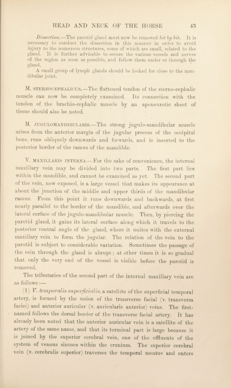 Dissecfwyi.—I'lie puiotid ,u:lan(l must now ])p i-enioved hit hy hit. It is necessary to coiidncL tlie dissection in tins nianiKM' in order to avoid injury to the nnnierous structures, some of wliich are small, related to the gland. It is further advisable to secure the various vessels and nerves of the region as soon as possible, and follow them under or through the gland. A small group of lymph glands should be looked for close to the man¬ dibular joint. M. STERXOCEPHALtcus.—The Hatteiied tendon of the sterno-cephalic muscle can now be completely examined. Its connection with the tendon of the brachio-ce})halic muscle by an aponeurotic sheet of tissue should also be noted. M. JUGULOMANDitJULAiiLS.—The strong jugulo-mandibular muscle arises from the anterior margin of the jugular process of the occipital bone, runs obliquely downwards and forwards, and is inserted to the posterior border of the ramus of the mandible. V. MAXILLARLS INTERNA.— For the Sake of convenience, the internal maxillary vein may be divided into two parts. The first })art lies within the mandible, and cannot be examined as yet. The second part of the vein, now exposed, is a large vessel that makes its appearance at about the junction of the middle and upper thirds of the mandibular ramus. From this point it runs downwards and backwards, at first nearly parallel to the border of the mandible, and afterwards over the lateral surface of the jugulo-mandibular muscle. Then, by piercing the p)arotid gland, it gains its lateral surface along which it travels to the posterior ventral angle of the gland, where it unites with the external maxillary vein to form the jugular. The relation of the vein to the parotid is subject to considerable variation. Sometimes the passage of the vein through the gland is abrupt ; at other times it is so gradual that only the very end of the vessel is visible before the parotid is removed. The tributaries of the second part of the internal maxillary vein are as follows;— (1) F. te'/ivpot'ctlis siope}‘Jici(tlis, a ssitell ite of the superficial temporal artery, is formed by the union of the transverse facial (v. transversa faciei) and anterior auricuLar (v. auricularis anterior) veins. The first- named follows the dorsal border of the transverse facial artery. It has already been noted that the anterior auricular vein is a satellite of the artery of the same name, and that its terminal part is large because it is joined by the superior cerebral vein, one of the efHuents of the system of venous sinuses within the cranium. The superior cerebral vein (v. cerebralis superior) traverses the temporal meatus and enters