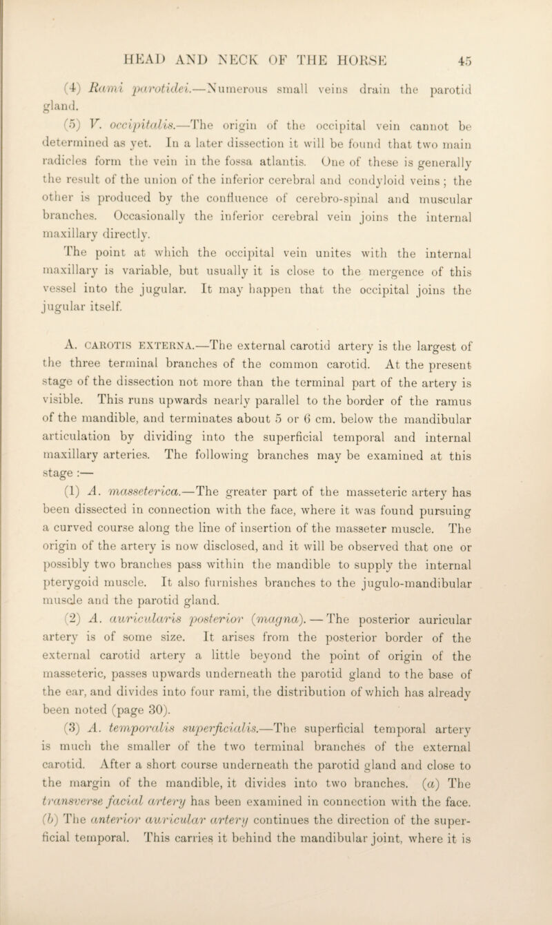 (4) Rami —Numerous small veins drain the parotid gland. (5) F. occipitalis.—The origin of the occipital vein cannot be determined as yet. In a later dissection it will be found that two main radicles form the vein in the fossa atlantis. One of these is generally the result of the union of the inferior cerebral and condyloid veins ; the other is produced by the confluence of cerebro-spinal and muscular branches. Occasionally the inferior cerebral vein joins the internal maxillary directly. The point at which the occipital vein unites with the internal maxillary is variable, but usually it is close to the mergence of this vessel into the jugular. It may happen that the occipital joins the jugular itself. A. CAROTis EXTERNA.—The external carotid arterv is the largrest of the three terminal branches of the common carotid. At the present stage of the dissection not more than the terminal part of the artery is visible. This runs upwards nearly parallel to the border of the ramus of the mandible, and terminates about 5 or 6 cm. below the mandibular articulation by dividing into the superficial temporal and internal maxillary arteries. The following branches may be examined at this stage :— (1) A. masseterica.—The greater part of the masseteric artery has been dissected in connection with the face, where it was found pursuing a curved course along the line of insertion of the masseter muscle. The origin of the artery is now disclosed, and it will be observed that one or possibly two branches pass within the mandible to supply the internal pterygoid muscle. It also furnishes branches to the jugulo-mandibular musde and the parotid gland. (2) A. auricidaris posterior (inagna). — The posterior auricular artery is of some size. It arises from the posterior border of the external carotid artery a little beyond the point of origin of the masseteric, passes upwards underneath the parotid gland to the base of the ear, and divides into four rami, the distribution of v/hich has already been noted (page 30). (3) A. temporalis sivperficialis.—The superficial temporal artery is much the smaller of the two terminal branches of the external carotid. After a short course underneath the parotid gland and close to the margin of the mandible, it divides into two branches, (a) The transverse facial artery has been examined in connection with the face. (h) The anterior auricular artery continues the direction of the super¬ ficial temporal. This carries it behind the mandibular joint, where it is