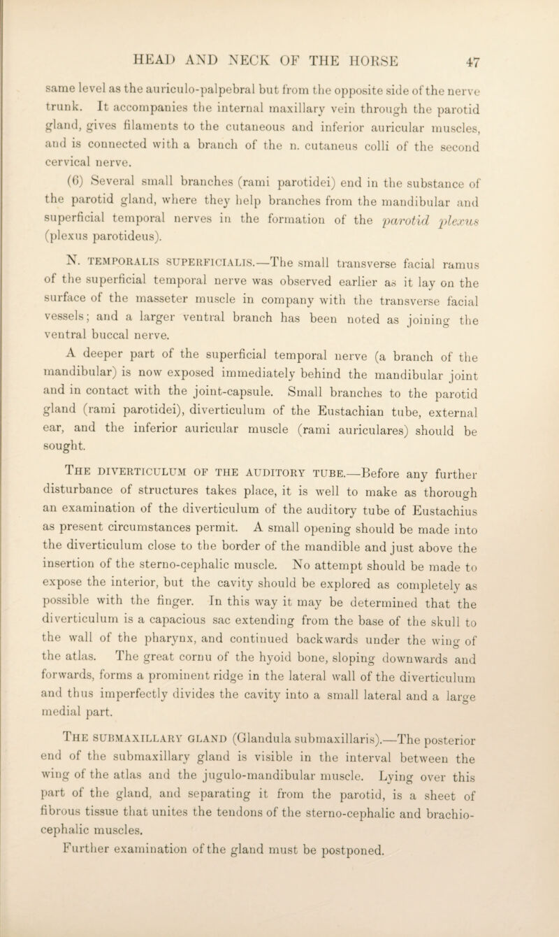 same level as the auriculo-palpebral but from the opposite side of the nerve trunk. It accompanies the internal maxillary vein through the parotid gland, gives filaments to the cutaneous and inferior auricular muscles, and is connected with a branch of the n. cutaneus colli of the second cervical nerve. (6) Several small branches (rami parotidei) end in the substance of the parotid gland, where they help branches from the mandibular and superficial temporal nerves in the formation of the ixirotid 'jdexiis (plexus parotideus). N. TEMPORALIS SUPERFiciALis.—The Small transverse facial ramus of the superficial temporal nerve was observed earlier as it lay on the surface of the masseter muscle in company with the transverse facial vessels; and a larger ventral branch has been noted as joining the ventral buccal nerve. A deeper part of the superficial temporal nerve (a branch of the mandibular) is now exposed immediately behind the mandibular joint and in contact with the joint-capsule. Small branches to the parotid gland (rami parotidei), diverticulum of the Eustachian tube, external ear, and the inferior auricular muscle (rami auriculares) should be sought. The diverticulum of the auditory tube.—Before any further disturbance of structures takes place, it is well to make as thorouo-h an examination of the diverticulum of the auditory tube of Eustachius as present circumstances permit. A small opening should be made into the diverticulum close to the border of the mandible and just above the insertion of the sterno-cephalic muscle. No attempt should be made to expose the interior, but the cavity should be explored as completely as possible with the finger. In this way it may be determined that the diverticulum is a capacious sac extending from the base of the skull to the wall of the pharynx, and continued backwards under the wino' of the atlas. dhe great cornu of the hyoid bone, sloping downwards and forwards, forms a prominent ridge in the lateral wall of the diverticulum and thus imperfectly divides the cavity into a small lateral and a large medial part. The submaxillary gland (Glandula submaxillaris).—The posterior end of the submaxillary gland is visible in the interval between the wing of the atlas and the jugulo-mandibular muscle. Lying over this part of the gland, and separating it from the parotid, is a sheet of fibrous tissue that unites the tendons of the sterno-cephalic and brachio¬ cephalic muscles. Further examination of the gland must be postponed.