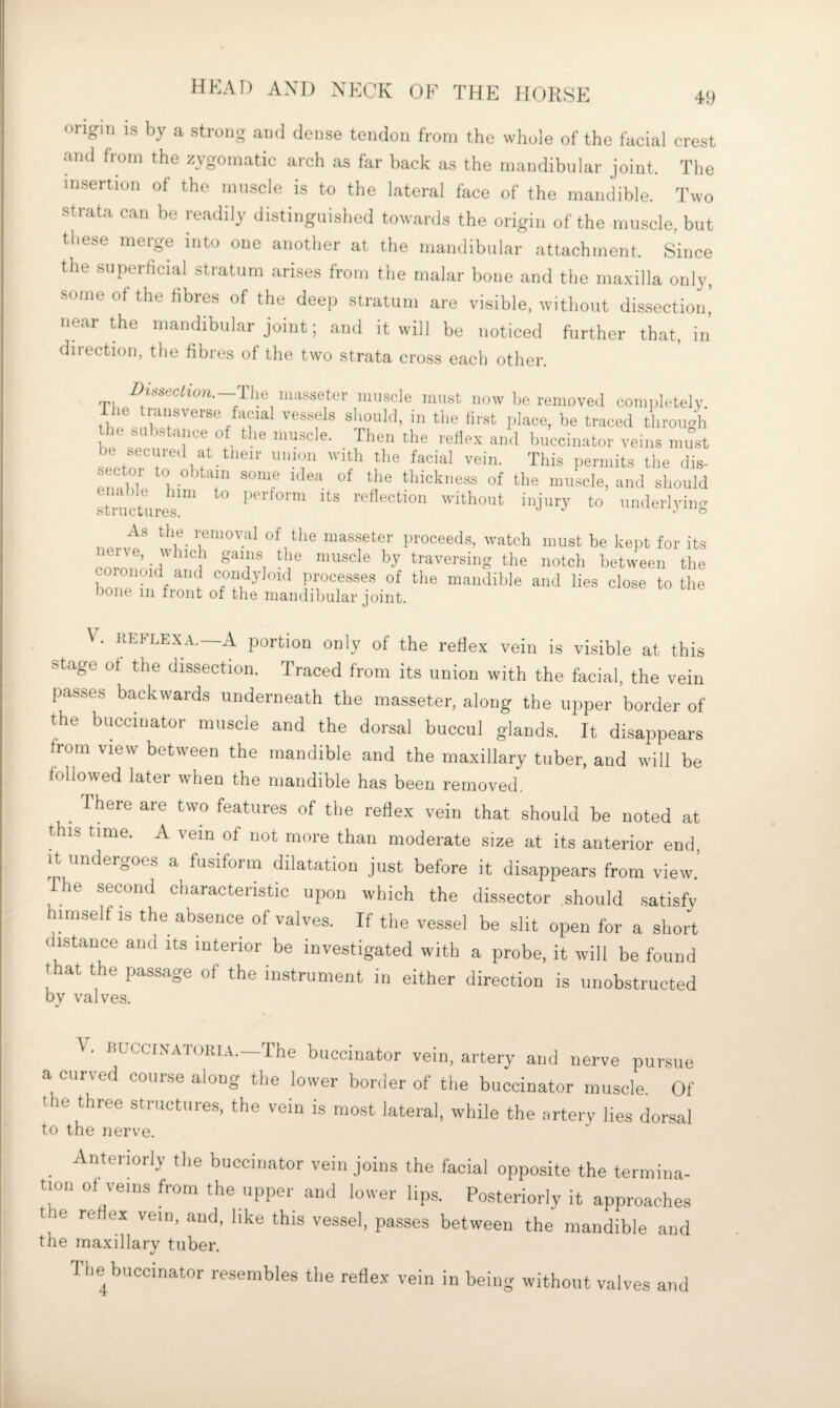 oiigiii is by a strong and dense tendon from the wliole of the facial crest and from the zygomatic arch as far back as the mandibniar joint. The insertion of the muscle is to the lateral face of the mandible. Two strata can be readily distinguished towards the origin of the muscle, but these merge into one another at the mandibular attachment. Since the superficial stratum arises from the malar bone and the maxilla only, some of the fibres of the deep stratum are visible, without dissection’ near the mandibular joint; and it will be noticed further that, in direction, the fibres of the two strata cross each other. Dihbeclion. -Hie niiisseter ninscle must now he renioved coiniiletely Hie transverse facial vessels should, in the first place, be traced through he substance of the muscle. Then the refle.x and buccinator veins must be sLcure.l at their union with the facial vein. This permits the <lis- sector to obtain some idea of the thickness of the muscle, and should enable Imn to perform its reflection without injury to underlviim As the removal of the masseter proceeds, watch must be keiit for its coer■ r traversing the notch between the coionoid and condyloid ))rocesses of the mandible and lies close to the bone in front of the mandibular joint. KEFLEX A.—A portion only of the reflex vein is visible at this stage of the dissection. Traced from its union with the facial, the vein passes backwards underneath the masseter, along the upper border of the buccinator muscle and the dorsal buccul glands. It disappears from view between the mandible and the maxillary tuber, and will be followed latei when the mandible has been renioved. There are two features of the reflex vein that should be noted at this time. A vein of not more than moderate size at its anterior end, It undergoes a fusiform dilatatiou just before it disappears from view.’ The second characteristic upon which the dissector should satisfy himself IS the absence of valves. If the vessel be slit open for a short distance and its interior be investigated with a probe, it will be found that the passage of the instrument in either direction is unobstructed by valves. . BUCCIN-atokia.—The buccinator vein, artery and nerve pursue a curved course along the lower bonier of the buccinator muscle. Of the three structures, the vein is most lateral, while the artery lies dorsal to the nerve. Anteriorly the buccinator vein joins the facial opposite the termina¬ tion of veins from the upper and lower lips. Posteriorly it approaches tie reflex vein, and, like this vessel, passes between the mandible and the maxillary tuber. I he buccinator resembles the reflex vein in being without valves and