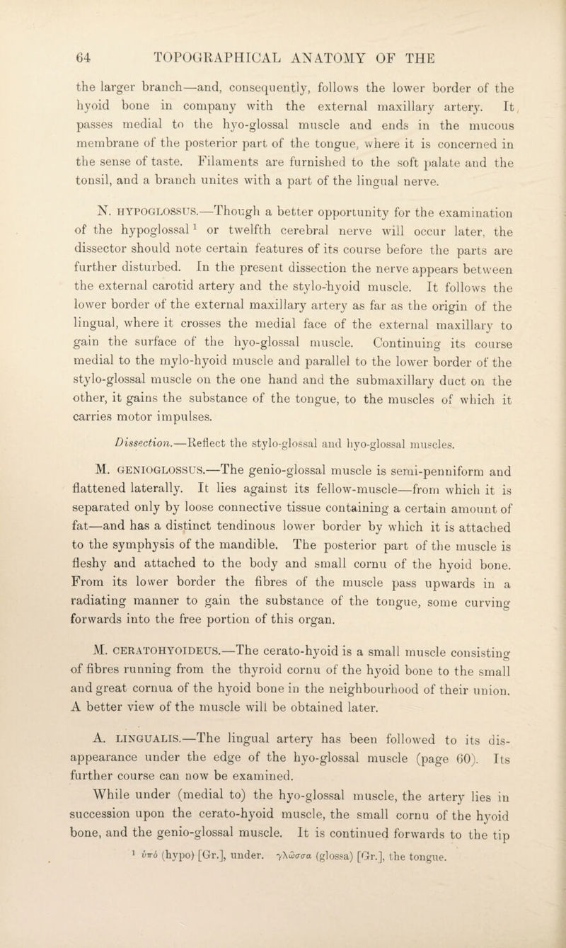 the larger branch—and, consequently, follows the lower border of the hyoid bone in company with the external maxillary artery. It passes medial to the hyo-glossal muscle and ends in the mucous membrane of the posterior part of the tongue, where it is concerned in the sense of taste. Filaments are furnished to the soft palate and the tonsil, and a branch unites with a part of the lingual nerve. N. HYPOGLOSSUS.—Though a better opportunity for the examination of the hypoglossal ^ or twelfth cerebral nerve will occur later, the dissector should note certain features of its course before the parts are further disturbed. In the present dissection the nerve appears between the external carotid artery and the stylo-hyoid muscle. It follows the lower border of the external maxillary artery as far as the origin of the lingual, where it crosses the medial face of the external maxillary to gain the surface of the hyo-glossal muscle. Continuing its course medial to the mylo-hyoid muscle and parallel to the lower border of the stylo-glossal muscle on the one hand and the submaxillary duct on the other, it gains the substance of the tongue, to the muscles of which it carries motor impulses. Dissection.—Reflect the stylo-glossal and hyo-glossal muscles. M. GENIOGLOSSUS.—The genio-glossal muscle is semi-penniform and flattened laterally. It lies against its fellow-muscle—from which it is separated only by loose connective tissue containing a certain amount of fat—and has a distinct tendinous lower border bv which it is attached %/ to the symphysis of the mandible. The posterior part of the muscle is fleshy and attached to the body and small cornu of the hyoid bone. From its lower border the fibres of the muscle pass upwards in a radiating manner to gain the substance of the tongue, some curving forwards into the free portion of this organ. M. CERATOHYOIDEUS.—The cerato-hyoid is a small muscle consisting of fibres running from the thyroid cornu of the hyoid bone to the small and great cornua of the hyoid bone in the neighbourhood of their union. A better view of the muscle will be obtained later. A. LINGUALIS.—The lingual artery has been followed to its dis¬ appearance under the edge of the hyo-glossal muscle (page 60). Its further course can now be examined. While under (medial to) the hyo-glossal muscle, the artery lies in succession upon the cerato-hyoid muscle, the small cornu of the hyoid bone, and the genio-glossal muscle. It is continued forwards to the tip 1 vw6 (hypo) [Gr.], under. yXwo-cra (glossa) [Gr.], the tongue.