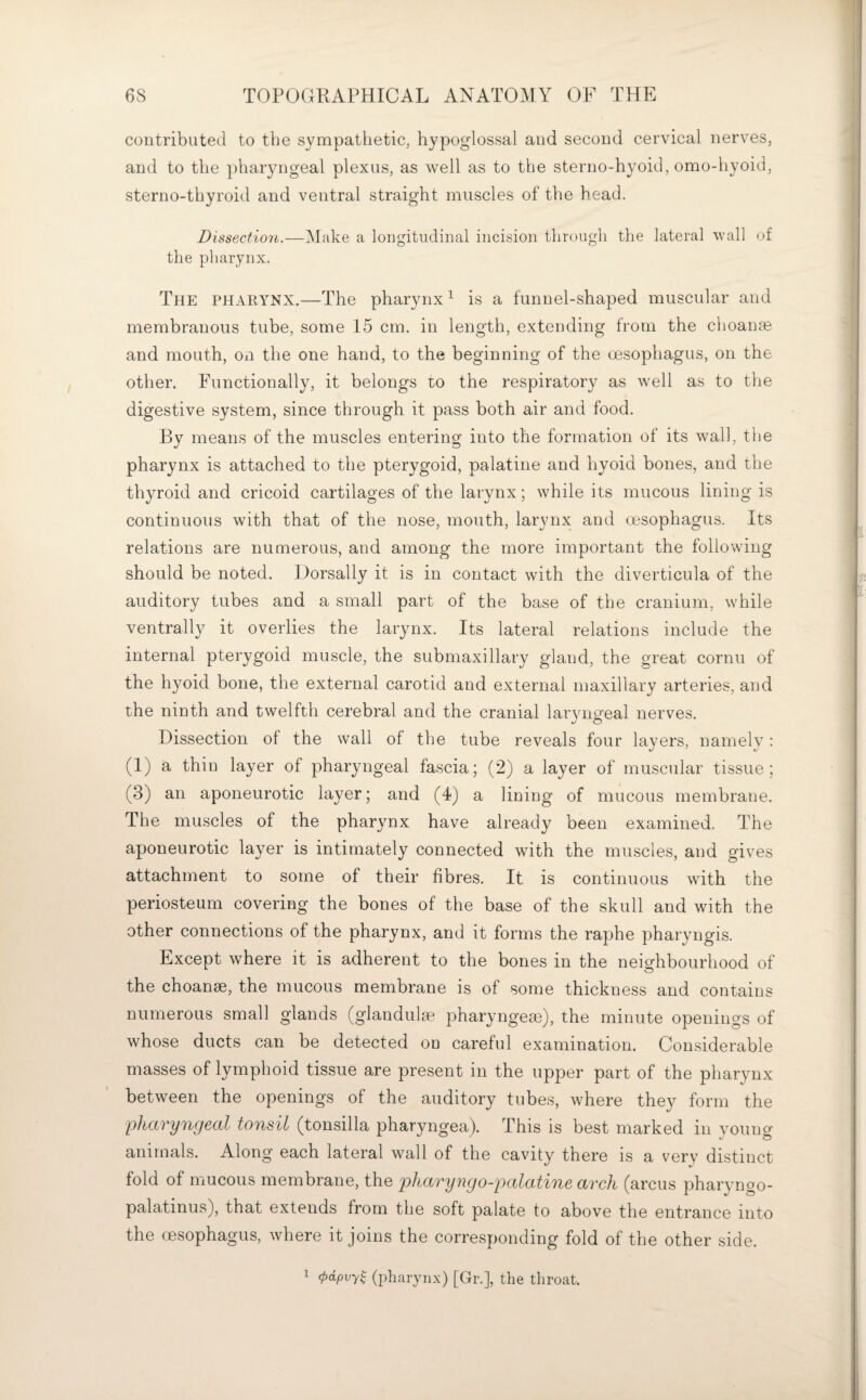 contributed to the sympathetic, hypoglossal and second cervical nerves, and to the pharyngeal plexus, as well as to the sterno-hyoid, omo-hyoid, sterno-thyroid and ventral straight muscles of the head. Dissection.—Make a longitudinal incision through the lateral wall of the pharynx. The pharynx.—The pharynx^ is a funnel-shaped muscular and membranous tube, some 15 cm. in length, extending from the choanse and mouth, on the one hand, to the beginning of the oesophagus, on the other. Functionally, it belongs to the respiratory as well as to the digestive system, since through it pass both air and food. By means of the muscles entering into the formation of its wall, the pharynx is attached to the pterygoid, palatine and hyoid bones, and the thyroid and cricoid cartilages of the larynx; while its mucous lining is continuous with that of the nose, mouth, larynx and oesophagus. Its relations are numerous, and among the more important the following should be noted. Dorsally it is in contact with the diverticula of the auditory tubes and a small part of the base of the cranium, while ventrally it overlies the larynx. Its lateral relations include the internal pterygoid muscle, the submaxillary gland, the great cornu of the hyoid bone, the external carotid and external maxillary arteries, and the ninth and twelfth cerebral and the cranial laryngeal nerves. Dissection of the wall of the tube reveals four layers, namely: (I) a thin layer of pharyngeal fascia; (2) a layer of muscular tissue; (3) an aponeurotic layer; and (4) a lining of mucous membrane. The muscles of the pharynx have already been examined. The aponeurotic layer is intimately connected with the muscles, and gives attachment to some of their fibres. It is continuous with the periosteum covering the bones of the base of the skull and with the other connections of the pharynx, and it forms the raphe pharyngis. Except where it is adherent to the bones in the neighbourhood of the choanse, the mucous membrane is of some thickness and contains numerous small glands (glandulgp pharyngeee), the minute openings of whose ducts can be detected on careful examination. Considerable masses of lymphoid tissue are present in the upper part of the pharynx between the openings of the auditory tubes, where they form the pharyngeal tonsil (tonsilla pharyngea). This is best marked in young animals. Along each lateral wall of the cavity there is a very distinct fold of mucous membrane, the pliaryngo-palatine arch (arcus pharyngo- palatinus), that extends from the soft palate to above the entrance into the oesophagus, where it joins the corresponding fold of the other side. 1 (pdpvy^ (idiaryiix) [Gr.], the throat.