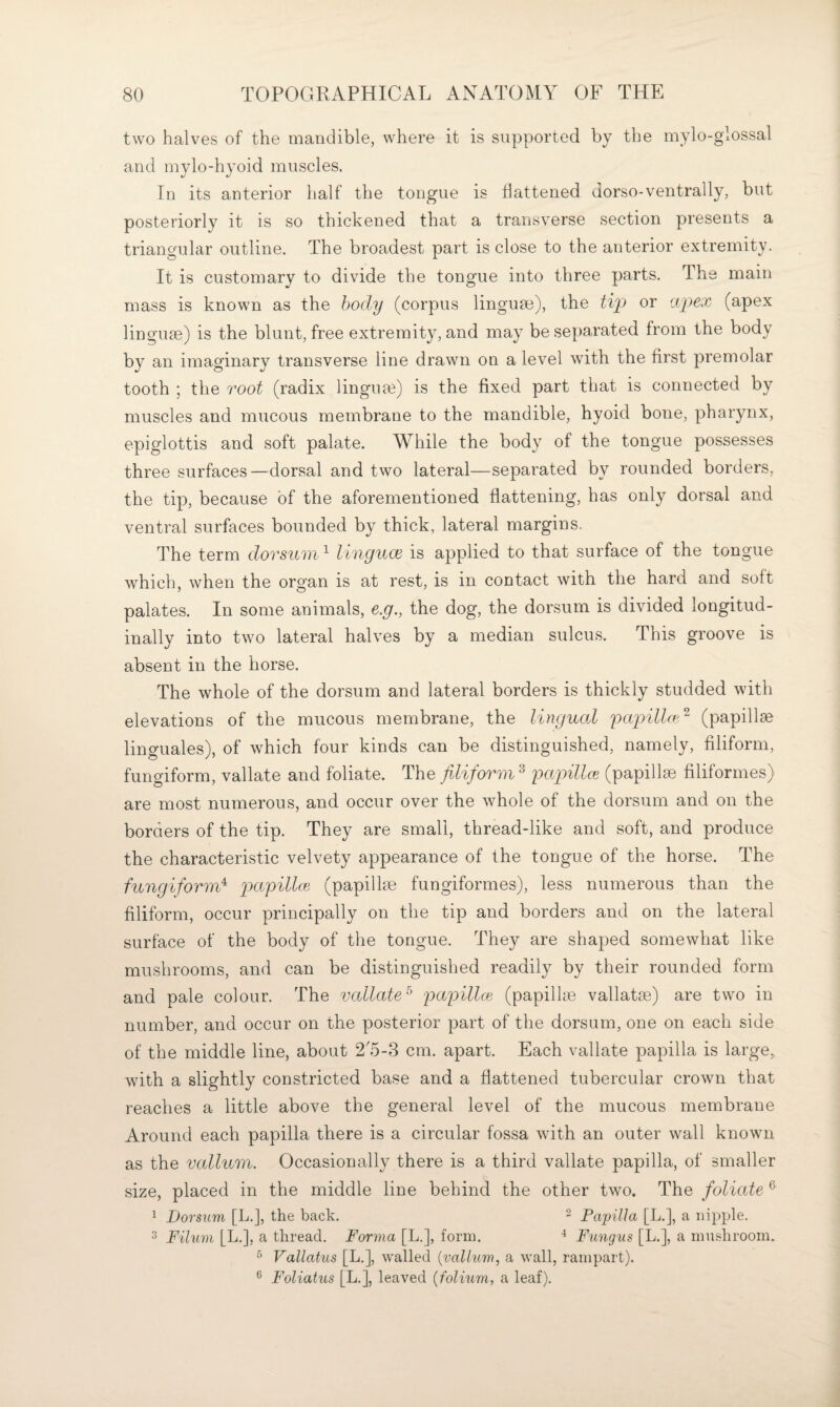 two halves of the mandible, where it is supported by the mylo-glossal and mylo-hyoid muscles. In its anterior half the tongue is flattened Jorso-ventrally, but posteriorly it is so thickened that a transverse section presents a triangular outline. The broadest part is close to the anterior extremity. It is customary to divide the tongue into three parts. The main mass is known as the body (corpus lingum), the ti}? or apex (apex linguae) is the blunt, free extremity, and may be separated from the body by an imaginary transverse line drawn on a level with the first premolar tooth ; the root (radix lingum) is the fixed part that is connected by muscles and mucous membrane to the mandible, hyoid bone, pharynx, epiglottis and soft palate. While the body of the tongue possesses three surfaces—dorsal and two lateral—separated by rounded borders, the tip, because of the aforementioned flattening, has only dorsal and ventral surfaces bounded by thick, lateral margins. The term dorsum ^ linguce is applied to that surface of the tongue which, when the organ is at rest, is in contact with the hard and soft palates. In some animals, e.g., the dog, the dorsum is divided longitud¬ inally into two lateral halves by a median sulcus. This groove is absent in the horse. The whole of the dorsum and lateral borders is thickly studded with elevations of the mucous membrane, the lingual papilla'^ (papillae linguales), of which four kinds can be distinguished, namely, filiform, fungiform, vallate and foliate. The filiform ^ papillm (papillae filiformes) are most numerous, and occur over the whole of the dorsum and on the borders of the tip. They are small, thread-like and soft, and produce the characteristic velvety appearance of the tongue of the horse. The fungiform‘s jxipillce (papillae fungiformes), less numerous than the filiform, occur principally on the tip and borders and on the lateral surface of the body of the tongue. They are shaped somewhat like mushrooms, and can be distinguished readily by their rounded form and pale colour. The vallate^ papillce (papilhe vallatae) are two in number, and occur on the posterior part of the dorsum, one on each side of the middle line, about 2A-3 cm. apart. Each vallate papilla is large, with a slightly constricted base and a flattened tubercular crown that reaches a little above the general level of the mucous membrane Around each papilla there is a circular fossa with an outer wall known as the vallum. Occasionally there is a third vallate papilla, of smaller size, placed in the middle line behind the other two. The foliate ^ 1 Dorsum [L.], the back. 2 Pa'piUa [L.], a nipple. 2 Filum [L.], a thread. Forma [L.], form. ^ Fungus [L.], a mushroom. ^ Vallatus [L.], walled [vallum., a wall, rampart). ® Foliatus [L.], leaved [folium, a leaf).