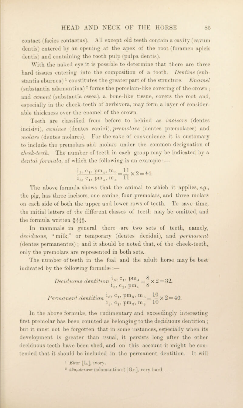 contact (facies contactus). All except old teeth contain a cavity (cavuni dentis) entered by an opening at the apex of the root (foramen apicis dentis) and containing the tooth pulp (pulpa dentis). With the naked eye it is possible to determine that there are three hard tissues entering into the composition of a tooth. JJevtine (sub¬ stantia eburnea) ^ constitutes the greater part of the structure. Enamel (substantia adamantina) “ forms the porcelain-like covering of the crown ; and cement (substantia ossea), a bone-like tissue, covers the root and, especially in the cheek-teeth of herbivora, may form a layer of consider¬ able thickness over the enamel of the crown. Teeth are classihed from before to behind as Incisors (dentes incisivi), canines (dentes canini), premolars (dentes prsemolares) and molars (dentes molares). For the sake of convenience, it is customary to include the premolars and molars under the common designation of clieeh-ieeih. The number of teeth in each group may be indicated by a dental formula, of which the following is an example :— i.-i, c,, pm^, in,, ^ 2 = 44. ia. c,, piiij, 11 The above formula shows that the animal to which it applies, e.g., the pig, has three incisors, one canine, four premolars, and three molars on each side of both the upper and lower rows of teeth. To save time, the initial letters of the different classes of teeth may be omitted, and the formula written f In mammals in general there are two sets of teeth, namely, ileckluoiis, “ milk,” or temporary (dentes decidui), and permanent (dentes permanentes) ; and it should be noted that, of the cheek-teeth, only the premolars are represented in both sets. The number of teeth in the foal and the adult horse may be best indicated by the following formuhe ;— Deciduous dentition = ^ x - = 82. i;.,c^,pnu 8 Permanent dentition P™.-p x 2 = 40. Cj, pnig, m.j 10 In the above formuhe, the rudimentary and exceedingly interesting first premolar has been counted as belonging to the deciduous dentition; but it must not be forgotten that in some instances, especially when its development is greater than usual, it persists long after the other deciduous teeth have been shed, and on this account it might be con¬ tended that it should be included in the permanent dentition. It will ^ Khur [L.], ivory. - dda/xdvTivos (adainantiiio.'<) [Gr.], very hai'd.