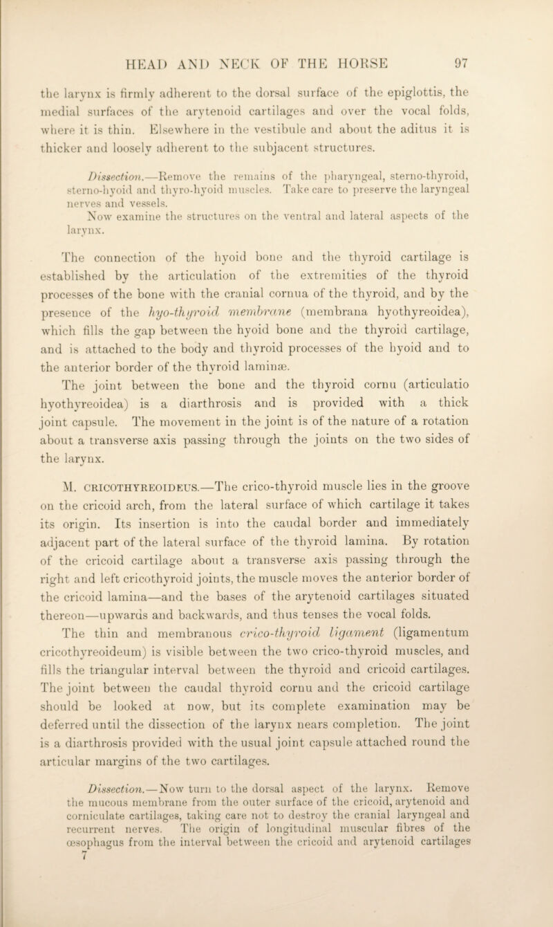 the larynx is firmly adherent to the dorsal surface of the epiglottis, the medial surfaces of the arytenoid cartilages and over the vocal folds, where it is thin. Elsewhere in the vestibule and about the aditus it is thicker and loosely adherent to the subjacent structures. Dissection.—Remove the remains of the pharyngeal, sterno-thyroid, sterno-hyoid and thyro-hyoid muscle.s. Take care to ])reserve the laryngeal nerves and vessels. Now examine the structures on the ventral and lateral aspects of the larynx. The connection of the hyoid bone and the thyroid cartilage is established by the articulation of the extremities of the thyroid processes of the bone with the cranial cornua of the thyroid, and by the presence of the hyo-tkijroid membrane (membrana hyothyreoidea), which fills the gap between the hyoid bone and the thyroid cartilage, and is attached to the body and thyroid processes of the hyoid and to the anterior border of the thyroid laminaB. The joint between the bone and the thyroid cornu (articulatio hyothyreoidea) is a di arthrosis and is provided with a thick joint capsule. The movement in the joint is of the nature of a rotation about a transverse axis passing through the joints on the two sides of the larvnx. M. CRICOTHYREOTDEUS.—The ci'ico-thyroid muscle lies in the groove on the cricoid arch, from the lateral surface of which cartilage it takes its origin. Its insertion is into the caudal border and immediately adjacent part of the lateral surface of the thyroid lamina. By rotation of the cricoid cartilage about a transverse axis passing through the right and left cricothyroid joints, the muscle moves the anterior border of the cricoid lamina—and the bases of the arytenoid cartilages situated thereon—upwards and backwards, and thus tenses the vocal folds. The thin and membranous orico-thyvoid ligament (ligamentum cricothyreoideurn) is visible between the two crico-thyroid muscles, and fills the triangular interval between the thyroid and cricoid cartilages. The joint between the caudal thyroid cornu and the cricoid cartilage should be looked at now, but its complete examination may be deferred until the dissection of the larynx nears completion. The joint is a diarthrosis provided with the usual joint capsule attached round the articular margins of the two cartilages. Dissection.—Now turn to the dorsal aspect of the larynx. Remove the mucous membrane from the outer surface of the cricoid, arytenoid and corniculate cartilages, taking care not to destroy the cranial laryngeal and recurrent nerves. The origin of longitudinal muscular fibres of the msophagus from the interval between the cricoid and arytenoid cartilages 7