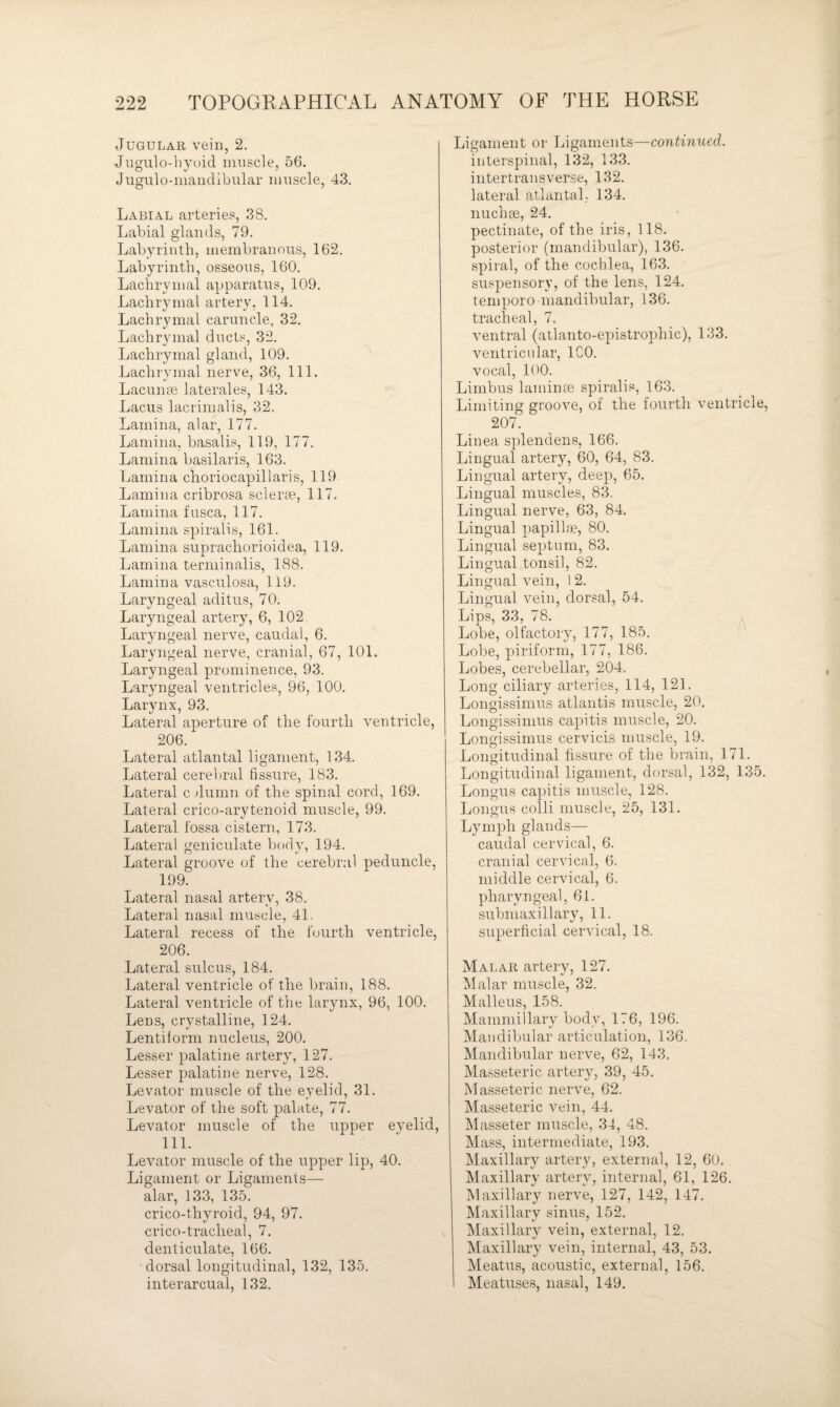 Jugular vein, 2. Jugulo-hyoid muscle, 5G. Jugulo-maiidibular muscle, 43. Labial arteries, 38. Labial glands, 79. Labyrinth, membranous, 162. Labyrinth, osseous, 160. Lachrymal apparatus, 109. Lachrymal artery, 114. Lachrymal caruncle, 32. Lachrymal ducts, 32. Lachrymal gland, 109. Lachrymal nerve, 36, 111. Lacunae laterales, 143. Laciis lacrimalis, 32. Lamina, alar, 177. Lamina, basalis, 119, 177. Lamina basilaris, 163. Lamina clioriocapillaris, 119 Lamina cribrosa sclerae., 117. Lamina fusca, 117. Lamina spiralis, 161. Lamina suprachorioidea, 119. Lamina terminalis, 188. Lamina vascnlosa, 119. Laryngeal aditns, 70. Laryngeal artery, 6, 102. Laryngeal nerve, caudal, 6. Laryngeal nerve, cranial, 67, 101. Laryngeal prominence, 93. Laryngeal ventricles, 96, 100. Larynx, 93. Lateral aperture of the fourth ventricle, 206. Lateral atlantal ligament, 134. Lateral cerebral fissure, 183. Lateral c dumn of the spinal cord, 169. Lateral crico-arytenoid muscle, 99. Lateral fossa cistern, 173. Lateral geniculate body, 194. Lateral groove of the cerebral peduncle, 199. Lateral nasal artery, 38. Lateral nasal muscle, 41. Lateral recess of the fourth ventricle, 206. Lateral snlcus, 184. Lateral ventricle of tlie brain, 188. Lateral ventricle of the larynx, 96, 100. Lens, crystalline, 124. Lentiform nucleus, 200. Lesser palatine artery, 127. Lesser palatine nerve, 128. Levator muscle of tlie eyelid, 31. Levator of tlie soft palate, 77. Levator muscle of the upper eyelid, 111. Levator muscle of the upper lip, 40. Ligament or Ligaments— alar, 133, 135. crico-thyroid, 94, 97. crico-traclieal, 7. denticulate, 166. ■dorsal longitudinal, 132, 135. interarcual, 132. Ligament or Ligaments—continued. interspinal, 132, 133. intertransverse, 132. lateral atlantal, 134. nuchae, 24. pectinate, of the iris, 118. posterior (mandibular), 136. spiral, of the cochlea, 163. suspensory, of the lens, 124. temporo mandibular, 136. tracheal, 7. ventral (atlanto-epistrophic), 133. ventricular, ICO. vocal, 100. Limbus lamina3 spiralis, 163. Limiting groove, of the fourth ventricle, 207. Linea splendens, 166. Lingual artery, 60, 64, 83. Lingual artery, deep, 65. Lingual muscles, 83. Lingual nerve, 63, 84. Lingual papillae, 80. Lingual septum, 83. Lingual tonsil, 82. Lingual vein, 12. Lingual vein, dorsal, 54. Lips, 33, 78. Lobe, olfactory, 177, 185. Lobe, piriform, 177, 186. Lobes, cerebellar, 204. Long ciliary arteries, 114, 121. Longissimus atlantis muscle, 20. Longissimus capitis muscle, 20. Longissimus cervicis muscle, 19. Longitudinal fissure of the brain, 171. Longitudinal ligament, dorsal, 132, 135. Longus capitis muscle, 128. Longus colli muscle, 25, 131. Lymph glands— caudal cervical, 6. cranial cervical, 6. middle cervical, 6. pharyngeal, 61. submaxi 11 ary, 11. superficial cervical, 18. Malar artery, 127. Malar muscle, 32. Malleus, 158. Mammillary body, 176, 196. Mandibular articulation, 136. Mandibular nerve, 62, 143. Masseteric artery, 39, 45. Masseteric nerve, 62. Masseteric vein, 44. Masseter muscle, 34, 48. Mass, intermediate, 193. Maxillary artery, external, 12, 60. Maxillary artery, internal, 61, 126. Maxillary nerve, 127, 142, 147. Maxillary sinus, 152. Maxillary vein, external, 12. Maxillary vein, internal, 43, 53. Meatus, acoustic, external, 156. Meatuses, nasal, 149.