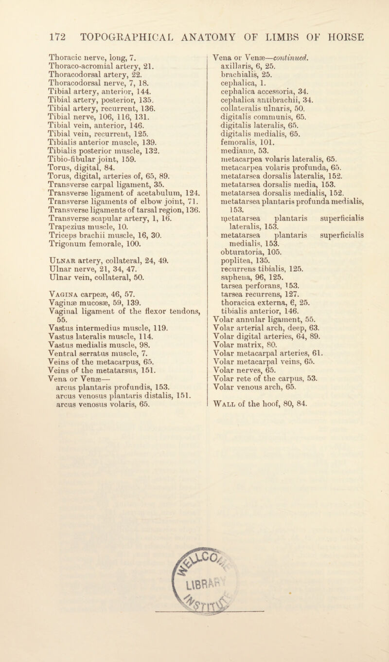 Thoracic nerve, long, 7. Thoraco-acromial artery, 21. Thoracodorsal artery, 22. Thoracodorsal nerve, 7, 18. Tibial artery, anterior, 144. Tibial artery, posterior, 135. Tibial artery, recurrent, 136. Tibial nerve, 106, 116, 131. Tibial vein, anterior, 146. Tibial vein, recurrent, 125. Tibialis anterior muscle, 139. Tibialis posterior muscle, 132. Tibio-fibular joint, 159. Torus, digital, 84. Torus, digital, arteries of, 65, 89. Transverse carpal ligament, 35. Transverse ligament of acetabulum, 124. Transverse ligaments of elbow joint, 71. Transverse ligaments of tarsal region, 136. Transverse scapular artery, 1, 16. Trapezius muscle, 10. Triceps brachii muscle, 16, 30. Trigonum femorale, 100. Ulnar artery, collateral, 24, 49. Ulnar nerve, 21, 34, 47. Ulnar vein, collateral, 50. Vagina carpeie, 46, 57. Vaginae mucosae, 59, 139. Vaginal ligament of the flexor tendons, 55. Vastus intermedius muscle, 119. Vastus lateralis muscle, 114. Vastus medialis muscle, 98. Ventral serratus muscle, 7. Veins of the metacarpus, 65. Veins of the metatarsus, 151. Vena or Venae— arcus plantaris profundis, 153. arcus venosus plantaris distalis, 151. arcus venosus volaris, 65. Vena or Venae—continued. axillaris, 6, 25. brachialis, 25. cephalica, 1. cephalica accessoria, 34. cephalica antibrachii, 34. collateralis ulnaris, 50. digitalis communis, 65. digitalis lateralis, 65. digitalis medialis, 65. femoral is, 101. medianae, 53. metacarpea volaris lateralis, 65. metacarpea volaris profunda, 65. metatarsea dorsalis lateralis, 152. metatarsea dorsalis media, 153. metatarsea dorsalis medialis, 152. metatarsea plantaris profunda medialis, 153. njetatarsea plantaris superficialis lateralis, 153. metatarsea plantaris superficialis medialis, 153. obturatoria, 105. poplitea, 135. recurrens tibialis, 125. saphena, 96, 125. tarsea perforans, 153. tarsea recur rens, 127. thoracica externa, 6, 25. tibialis anterior, 146. Volar annular ligament, 55. Volar arterial arch, deep, 63. Volar digital arteries, 64, 89. Volar matrix, 80. Volar metacarpal arteries, 61. Volar metacarpal veins, 65. Volar nerves, 65. Volar rete of the carpus, 53. Volar venous arch, 65. Wall of the hoof, 80, 84.