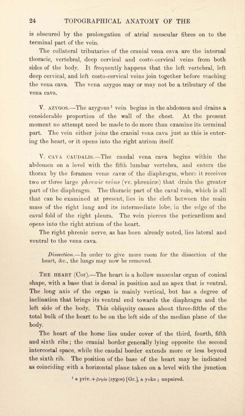 is obscured by the prolongation of atrial muscular fibres on to the terminal part of the vein. The collateral tributaries of the cranial vena cava are the internal thoracic, vertebral, deep cervical and costo-cervical veins from both sides of the body. It frequently happens that the left vertebral, left deep cervical, and left costo-cervical veins join together before reaching the vena cava. The vena azygos may or may not be a tributary of the vena cava. Y. azygos.—The azygous1 vein begins in the abdomen and drains a considerable proportion of the wall of the chest. At the present moment no attempt need be made to do more than examine its terminal part. The vein either joins the cranial vena cava just as this is enter¬ ing the heart, or it opens into the right atrium itself. Y. cava caudalis.—The caudal vena cava begins within the abdomen on a level with the fifth lumbar vertebra, and enters the thorax by the foramen venae cavse of the diaphragm, where it receives two or three large phrenic veins (vv. phrenicae) that drain the greater part of the diaphragm. The thoracic part of the caval vein, which is all that can be examined at present, lies in the cleft between the main mass of the right lung and its intermediate lobe, in the edge of the caval fold of the right pleura. The vein pierces the pericardium and opens into the right atrium of the heart. The right phrenic nerve, as has been already noted, lies lateral and ventral to the vena cava. Dissection.—In order to give more room for the dissection of the heart, &c., the lungs may now be removed. The heart (Cor).—The heart is a hollow muscular organ of conical shape, with a base that is dorsal in position and an apex that is ventral. The long axis of the organ is mainly vertical, but has a degree of inclination that brings its ventral end towards the diaphragm and the left side of the body. This obliquity causes about three-fifths of the total bulk of the heart to be on the left side of the median plane of the body. The heart of the horse lies under cover of the third, fourth, fifth and sixth ribs ; the cranial border generally lying opposite the second intercostal space, while the caudal border extends more or less beyond the sixth rib. The position of the base of the heart may be indicated as coinciding with a horizontal plane taken on a level with the junction 1 a priv. + £iryos (zygos) [Gr.], a yoke ; unpaired.