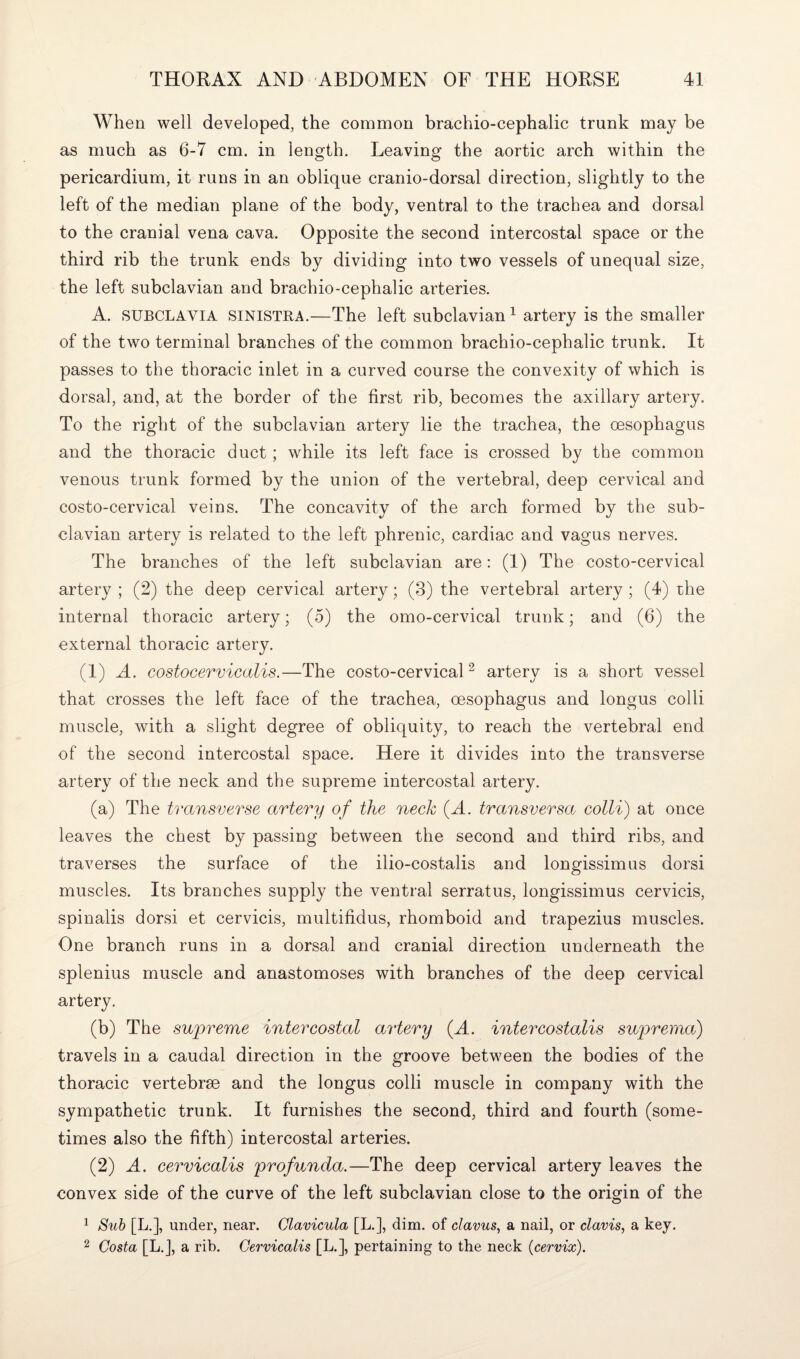 When well developed, the common brachio-cephalic trunk may be as much as 6-7 cm. in length. Leaving the aortic arch within the pericardium, it runs in an oblique cranio-dorsal direction, slightly to the left of the median plane of the body, ventral to the trachea and dorsal to the cranial vena cava. Opposite the second intercostal space or the third rib the trunk ends by dividing into two vessels of unequal size, the left subclavian and brachio-cephalic arteries. A. SUBCLAYIA SINISTRA.—The left subclavian1 artery is the smaller of the two terminal branches of the common brachio-cephalic trunk. It passes to the thoracic inlet in a curved course the convexity of which is dorsal, and, at the border of the first rib, becomes the axillary artery. To the right of the subclavian artery lie the trachea, the oesophagus and the thoracic duct ; while its left face is crossed by the common venous trunk formed by the union of the vertebral, deep cervical and costo-cervical veins. The concavity of the arch formed by the sub¬ clavian artery is related to the left phrenic, cardiac and vagus nerves. The branches of the left subclavian are: (1) The costo-cervical artery ; (2) the deep cervical artery; (3) the vertebral artery ; (4) the internal thoracic artery; (5) the omo-cervical trunk; and (6) the external thoracic artery. (1) A. costocervicalis.—The costo-cervical2 artery is a short vessel that crosses the left face of the trachea, oesophagus and longus colli muscle, with a slight degree of obliquity, to reach the vertebral end of the second intercostal space. Here it divides into the transverse artery of the neck and the supreme intercostal artery. (a) The transverse artery of the neck (A. transversa colli) at once leaves the chest by passing between the second and third ribs, and traverses the surface of the ilio-costalis and longissimus dorsi muscles. Its branches supply the ventral serratus, longissimus cervicis, spinalis dorsi et cervicis, multifidus, rhomboid and trapezius muscles. One branch runs in a dorsal and cranial direction underneath the splenius muscle and anastomoses with branches of the deep cervical artery. (b) The supreme intercostal artery (A. intercostalis suprema) travels in a caudal direction in the groove between the bodies of the thoracic vertebrse and the longus colli muscle in company with the sympathetic trunk. It furnishes the second, third and fourth (some¬ times also the fifth) intercostal arteries. (2) A. cervicalis profunda.—The deep cervical artery leaves the convex side of the curve of the left subclavian close to the origin of the 1 Sub [L.], under, near. Clavicula [L.], dim. of clavus, a nail, or clavis, a key. 2 Costa [L.J, a rib. Cervicalis [L.], pertaining to the neck {cervix).