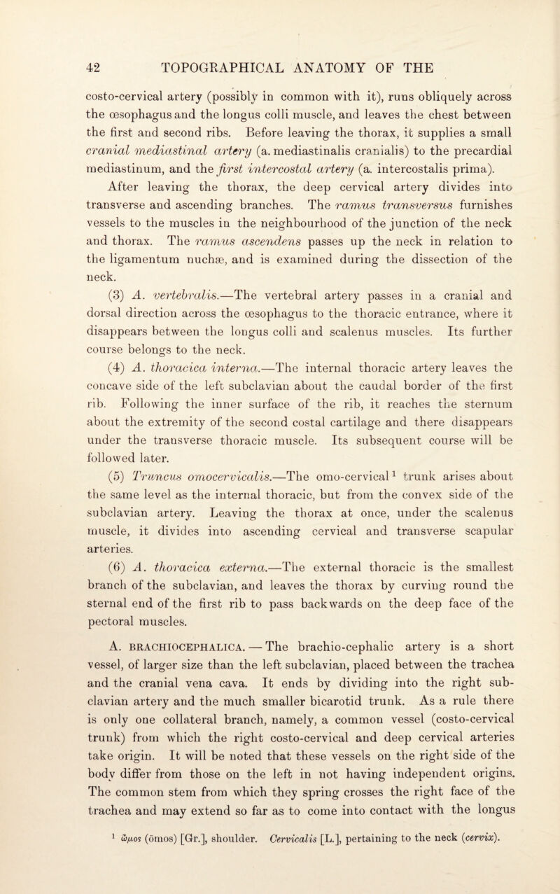 costo-cervical artery (possibly in common with it), runs obliquely across the oesophagus and the longus colli muscle, and leaves the chest between the first and second ribs. Before leaving the thorax, it supplies a small cranial mediastinal artery (a. mediastinalis cranialis) to the precardial mediastinum, and the first intercostal artery (a. intercostalis prima). After leaving the thorax, the deep cervical artery divides into transverse and ascending branches. The ramus transversus furnishes vessels to the muscles in the neighbourhood of the junction of the neck and thorax. The ramus ascendens passes up the neck in relation to the ligamentum nuchse, and is examined during the dissection of the neck. (3) A. vertebralis.—The vertebral artery passes in a cranial and dorsal direction across the oesophagus to the thoracic entrance, where it disappears between the longus colli and scalenus muscles. Its further course belongs to the neck. (4) A. thoracica interna.—The internal thoracic artery leaves the concave side of the left subclavian about the caudal border of the first rib. Following the inner surface of the rib, it reaches the sternum about the extremity of the second costal cartilage and there disappears under the transverse thoracic muscie. Its subsequent course will be followed later. (5) Truncus omocervicalis.—The omo-cervical1 trunk arises about the same level as the internal thoracic, but from the convex side of the subclavian artery. Leaving the thorax at once, under the scalenus muscle, it divides into ascending cervical and transverse scapular arteries. (6) A. thoracica externa.—The external thoracic is the smallest branch of the subclavian, and leaves the thorax by curving round the sternal end of the first rib to pass backwards on the deep face of the pectoral muscles. A. brachiocephalica. — The brachio-cephalic artery is a short vessel, of larger size than the left subclavian, placed between the trachea and the cranial vena cava. It ends by dividing into the right sub¬ clavian artery and the much smaller bicarotid trunk. As a rule there is only one collateral branch, namely, a common vessel (costo-cervical trunk) from which the right costo-cervical and deep cervical arteries take origin. It will be noted that these vessels on the right side of the body differ from those on the left in not having independent origins. The common stem from which they spring crosses the right face of the trachea and may extend so far as to come into contact with the longus