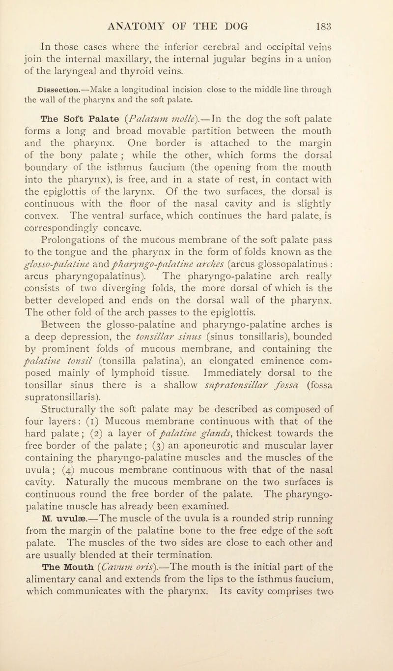 In those cases where the inferior cerebral and occipital veins join the internal maxillary, the internal jugular begins in a union of the laryngeal and thyroid veins. Dissection.—Make a longitudinal incision close to the middle line through the wall of the pharynx and the soft palate. The Soft Palate (^Palatum molle).—Tn the dog the soft palate forms a long and broad movable partition between the mouth and the pharynx. One border is attached to the margin of the bony palate ; while the other, which forms the dorsal boundary of the isthmus faucium (the opening from the mouth into the pharynx), is free, and in a state of rest, in contact with the epiglottis of the larynx. Of the two surfaces, the dorsal is continuous with the floor of the nasal cavity and is slightly convex. The ventral surface, which continues the hard palate, is correspondingly concave. Prolongations of the mucous membrane of the soft palate pass to the tongue and the pharynx in the form of folds known as the glosso-palatine and pharyngo-palatine arches (arcus glossopalatinus ; arcus pharyngopalatinus). The pharyngo-palatine arch really consists of two diverging folds, the more dorsal of which is the better developed and ends on the dorsal wall of the pharynx. The other fold of the arch passes to the epiglottis. Between the glosso-palatine and pharyngo-palatine arches is a deep depression, the tonsillar sinus (sinus tonsillaris), bounded by prominent folds of mucous membrane, and containing the palatine tonsil (tonsilla palatina), an elongated eminence com¬ posed mainly of lymphoid tissue. Immediately dorsal to the tonsillar sinus there is a shallow supratonsillar fossa (fossa supratonsillaris). Structurally the soft palate may be described as composed of four layers: (i) Mucous membrane continuous with that of the hard palate; (2) a layer of palatme glands, thickest towards the free border of the palate; (3) an aponeurotic and muscular layer containing the pharyngo-palatine muscles and the muscles of the uvula; (4) mucous membrane continuous with that of the nasal cavity. Naturally the mucous membrane on the two surfaces is continuous round the free border of the palate. The pharyngo- palatine muscle has already been examined. M. uvulae.—The muscle of the uvula is a rounded strip running from the margin of the palatine bone to the free edge of the soft palate. The muscles of the two sides are close to each other and are usually blended at their termination. The Mouth {^Cavuni oris).—The mouth is the initial part of the alimentary canal and extends from the lips to the isthmus faucium, which communicates with the pharynx. Its cavity comprises two