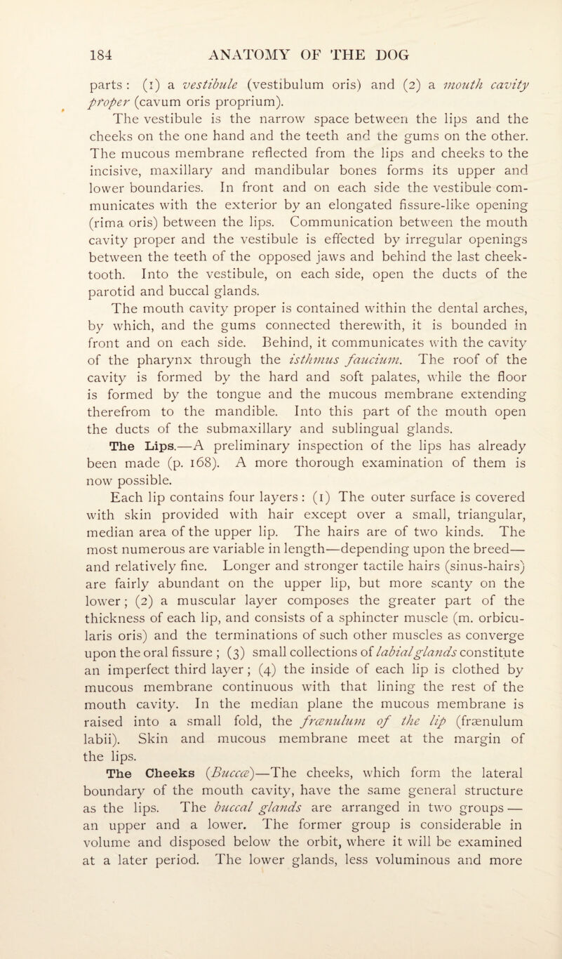 parts : (i) a vestibule (vestibulum oris) and (2) a mouth cavity proper (cavum oris proprium). The vestibule is the narrow space between the lips and the cheeks on the one hand and the teeth and the gums on the other. The mucous membrane reflected from the lips and cheeks to the incisive, maxillary and mandibular bones forms its upper and lower boundaries. In front and on each side the vestibule com¬ municates with the exterior by an elongated fissure-like opening (rima oris) between the lips. Communication between the mouth cavity proper and the vestibule is effected by irregular openings between the teeth of the opposed jaws and behind the last cheek¬ tooth. Into the vestibule, on each side, open the ducts of the parotid and buccal glands. The mouth cavity proper is contained within the dental arches, by which, and the gums connected therewith, it is bounded in front and on each side. Behind, it communicates with the cavity of the pharynx through the isthmus faucium. The roof of the cavity is formed by the hard and soft palates, while the floor is formed by the tongue and the mucous membrane extending therefrom to the mandible. Into this part of the mouth open the ducts of the submaxillary and sublingual glands. The Lips.—A preliminary inspection of the lips has already been made (p. 168). A more thorough examination of them is now possible. Each lip contains four layers : (i) The outer surface is covered with skin provided with hair except over a small, triangular, median area of the upper lip. The hairs are of two kinds. The most numerous are variable in length—depending upon the breed— and relatively fine. Longer and stronger tactile hairs (sinus-hairs) are fairly abundant on the upper lip, but more scanty on the lower; (2) a muscular layer composes the greater part of the thickness of each lip, and consists of a sphincter muscle (m. orbicu¬ laris oris) and the terminations of such other muscles as converge upon the oral fissure ; (3) small collections of labial glands constitute an imperfect third layer ; (4) the inside of each lip is clothed by mucous membrane continuous with that lining the rest of the mouth cavity. In the median plane the mucous membrane is raised into a small fold, the frcvnulum of the lip (frsenulum labii). Skin and mucous membrane meet at the margin of the lips. The Cheeks {Bucccb)—The cheeks, which form the lateral boundary of the mouth cavity, have the same general structure as the lips. The biiccal glands are arranged in two groups — an upper and a lower. The former group is considerable in volume and disposed below the orbit, where it will be examined at a later period. The lower glands, less voluminous and more
