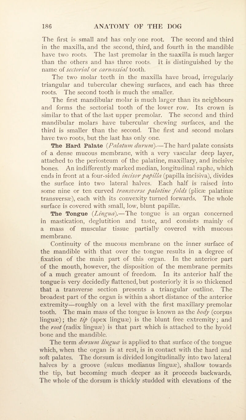 The first is small and has only one root. The second and third in the maxilla, and the second, third, and fourth in the mandible have two roots. The last premolar in the maxilla is much larger than the others and has three roots, it is distinguished by the name of sectorial or carnassial tooth. The two molar teeth in the maxilla have broad, irregularly triangular and tubercular chewing surfaces, and each has three roots. The second tooth is much the smaller. The first mandibular molar is much larger than its neighbours and forms the sectorial tooth of the lower row. Its crown is similar to that of the last upper premolar. The second and third mandibular molars have tubercular chewing surfaces, and the third is smaller than the second. The first and second molars have two roots, but the last has only one. The Hard Palate {Palatum duruni).—The hard palate consists of a dense mucous membrane, with a very vascular deep layer, attached to the periosteum of the palatine, maxillary, and incisive bones. An indifferently marked median, longitudinal raphe, which ends in front at a four-sided incisor papilla (papilla incisiva), divides the surface into two lateral halves. Each half is raised into some nine or ten curved transverse palatine folds (plicae palatin^e transversae), each with its convexity turned forwards. The whole surface is covered with small, low, blunt papillae. The Tongue {Lingua).—The tongue is an organ concerned in mastication, deglutition and taste, and consists mainly of a mass of muscular tissue partially covered with mucous membrane. Continuity of the mucous membrane on the inner surface of the mandible with that over the tongue results in a degree of fixation of the main part of this organ. In the anterior part of the mouth, however, the disposition of the membrane permits of a much greater amount of freedom. In its anterior half the tongue is very decidedly flattened, but posteriorly it is so thickened that a transverse section presents a triangular outline. The broadest part of the organ is within a short distance of the anterior extremity—roughly on a level with the first maxillary premolar tooth. The main mass of the tongue is known as the body (corpus linguae); the tip (apex linguae) is the blunt free extremity; and the root (radix linguae) is that part which is attached to the hyoid bone and the mandible. The term dorsum linguce is applied to that surface of the tongue which, when the organ is at rest, is in contact with the hard and soft palates. The dorsum is divided longitudinally into two lateral halves by a groove (sulcus medianus linguae), shallow towards the tip, but becoming much deeper as it proceeds backwards. The whole of the dorsum is thickly studded with elevations of the