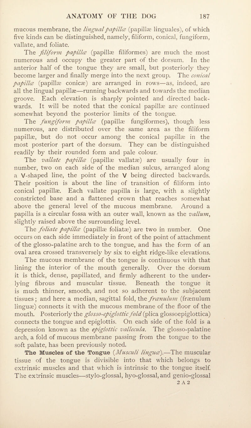 mucous membrane, the lingualpapillce (papillae linguales), of which five kinds can be distinguished, namely, filiform, conical, fungiform, vallate, and foliate. The filifonn papillce (papillae filiformes) are much the most numerous and occupy the greater part of the dorsum. In the anterior half of the tongue they are small, but posteriorly they become larger and finally merge into the next group. The co7iical papillcE (papillae conicae) are arranged in rows—as, indeed, are all the lingual papillae—running backwards and towards the median groove. Each elevation is sharply pointed and directed back¬ wards. It will be noted that the conical papillae are continued somewhat beyond the posterior limits of the tongue. The fungifoinn papillce (papillae fungiformes), though less numerous, are distributed over the same area as the filiform papillae, but do not occur among the conical papillae in the most posterior part of the dorsum. They can be distinguished readily by their rounded form and pale colour. The vallate papillce (papillae vallatae) are usually four in number, two on each side of the median sulcus, arranged along a V-shaped line, the point of the V being directed backwards. Their position is about the line of transition of filiform into conical papillae. Each vallate papilla is large, with a slightly constricted base and a flattened crown that reaches somewhat above the general level of the mucous membrane. Around a papilla is a circular fossa with an outer wall, known as the valliLm^ slightly raised above the surrounding level. The foliate papillce (papillae foliatae) are two in number. One occurs on each side immediately in front of the point of attachment of the glosso-palatine arch to the tongue, and has the form of an oval area crossed transversely by six to eight ridge-like elevations. The mucous membrane of the tongue is continuous with that lining the interior of the mouth generally. Over the dorsum it is thick, dense, papillated, and firmly adherent to the under¬ lying fibrous and muscular tissue. Beneath the tongue it is much thinner, smooth, and not so adherent to the subjacent tissues; and here a median, sagittal fold, the frcenuhtin (fr^enulum linguae) connects it with the mucous membrane of the floor of the mouth. Posteriorly the glosso-epiglottic fold (plica glossoepiglottica) connects the tongue and epiglottis. On each side of the fold is a depression known as the epiglottic vallecula. The glosso-palatine arch, a fold of mucous membrane passing from the tongue to the soft palate, has been previously noted. The Muscles of the Tongue fdusculi lingcice').—The muscular tissue of the tongue is divisible into that which belongs to extrinsic muscles and that which is intrinsic to the tongue itself The extrinsic muscles—stylo-glossal, hyo-glossal, and genio-glossal 2 A 2