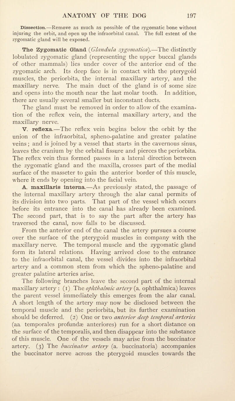 Dissection.—Remove as much as possible of the zygomatic bone without injuring the orbit, and open up the infraorbital canal. The full extent of the zygomatic gland will be exposed. The Zygomatic Gland {Glandula zygo^naticd).—The distinctly lobulated zygomatic gland (representing the upper buccal glands of other mammals) lies under cover of the anterior end of the zygomatic arch. Its deep face is in contact with the pterygoid muscles, the periorbita, the internal maxillary artery, and the maxillary nerve. The main duct of the gland is of some size and opens into the mouth near the last molar tooth. In addition, there are usually several smaller but inconstant ducts. The gland must be removed in order to allow of the examina¬ tion of the reflex vein, the internal maxillary artery, and the maxillary nerve. V. refllexa.—The reflex vein begins below the orbit by the union of the infraorbital, spheno-palatine and greater palatine veins; and is joined by a vessel that starts in the cavernous sinus, leaves the cranium by the orbital fissure and pierces the periorbita. The reflex vein thus formed passes in a lateral direction between the zygomatic gland and the maxilla, crosses part of the medial surface of the masseter to gain the anterior border of this muscle, where it ends by opening into the facial vein. A. maxillaris interna.—As previously stated, the passage of the internal maxillary artery through the alar canal permits of its division into two parts. That part of the vessel which occurs before its entrance into the canal has already been examined. The second part, that is to say the part after the artery has traversed the canal, now falls to be discussed. From the anterior end of the canal the artery pursues a course over the surface of the pterygoid muscles in company with the maxillary nerve. The temporal muscle and the zygomatic gland form its lateral relations. Having arrived close to the entrance to the infraorbital canal, the vessel divides into the infraorbital artery and a common stem from which the spheno-palatine and greater palatine arteries arise. The following branches leave the second part of the internal maxillary artery : (i) The ophthalmic artery (a. ophthalmica) leaves the parent vessel immediately this emerges from the alar canal. A short length of the artery may now be disclosed between the temporal muscle and the periorbita, but its further examination should be deferred. (2) One or two anterior deep temporal arteries (aa. temporales profundae anteriores) run for a short distance on the surface of the temporalis, and then disappear into the substance of this muscle. One of the vessels may arise from the buccinator artery. (3) The buccinator artery (a. buccinatoria) accompanies the buccinator nerve across the pterygoid muscles towards the
