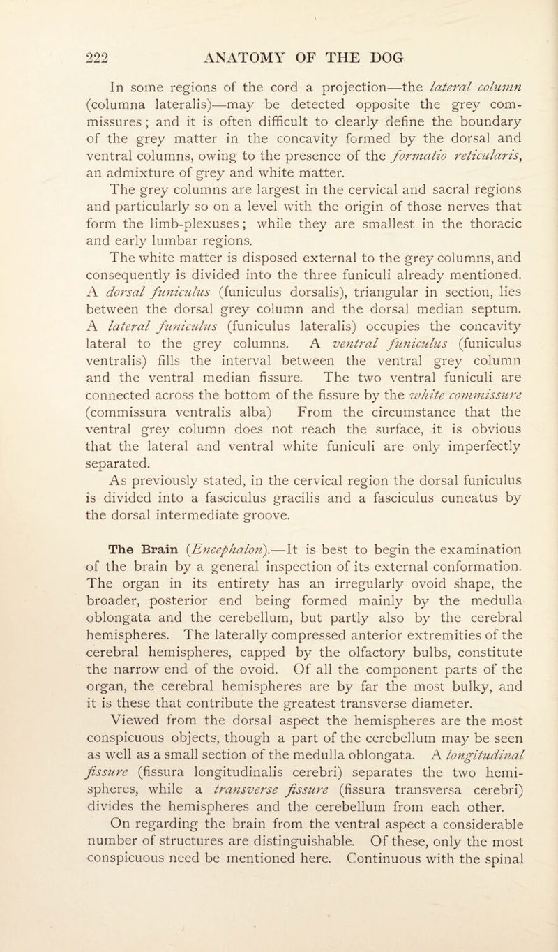 In some regions of the cord a projection—the lateral column (columna lateralis)—may be detected opposite the grey com¬ missures ; and it is often difficult to clearly define the boundary of the grey matter in the concavity formed by the dorsal and ventral columns, owing to the presence of the formatio reticularis^ an admixture of grey and white matter. The grey columns are largest in the cervical and sacral regions and particularly so on a level with the origin of those nerves that form the limb-plexuses; while they are smallest in the thoracic and early lumbar regions. The white matter is disposed external to the grey columns, and consequently is divided into the three funiculi already mentioned. A dorsal fu7iiculus (funiculus dorsalis), triangular in section, lies between the dorsal grey column and the dorsal median septum. A lateral fimiculus (funiculus lateralis) occupies the concavity lateral to the grey columns. A ventral funicidus (funiculus ventralis) fills the interval between the ventral grey column and the ventral median fissure. The two ventral funiculi are connected across the bottom of the fissure by the white commissure (commissura ventralis alba) From the circumstance that the ventral grey column does not reach the surface, it is obvious that the lateral and ventral white funiculi are only imperfectly separated. As previously stated, in the cervical region the dorsal funiculus is divided into a fasciculus gracilis and a fasciculus cuneatus by the dorsal intermediate groove. The Brain {Encephalon^.—It is best to begin the examination of the brain by a general inspection of its external conformation. The organ in its entirety has an irregularly ovoid shape, the broader, posterior end being formed mainly by the medulla oblongata and the cerebellum, but partly also by the cerebral hemispheres. The laterally compressed anterior extremities of the cerebral hemispheres, capped by the olfactory bulbs, constitute the narrow end of the ovoid. Of all the component parts of the organ, the cerebral hemispheres are by far the most bulky, and it is these that contribute the greatest transverse diameter. Viewed from the dorsal aspect the hemispheres are the most conspicuous objects, though a part of the cerebellum may be seen as well as a small section of the medulla oblongata. A longitudmal fissure (fissura longitudinalis cerebri) separates the two hemi¬ spheres, while a transverse fissure (fissura transversa cerebri) divides the hemispheres and the cerebellum from each other. On regarding the brain from the ventral aspect a considerable number of structures are distinguishable. Of these, only the most conspicuous need be mentioned here. Continuous with the spinal