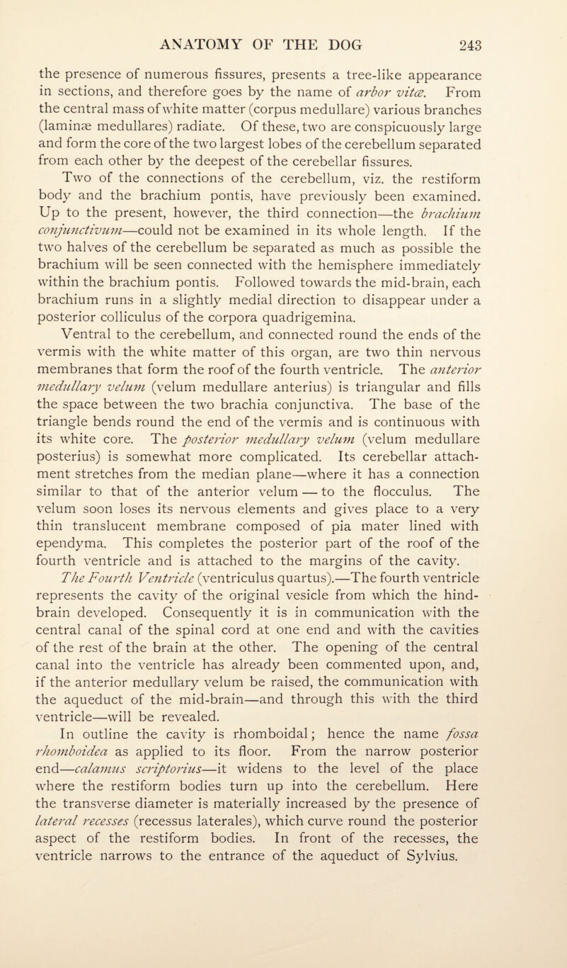 the presence of numerous fissures, presents a tree-like appearance in sections, and therefore goes by the name of arbor vitce. From the central mass of white matter (corpus medullare) various branches (laminae medullares) radiate. Of these, two are conspicuously large and form the core of the two largest lobes of the cerebellum separated from each other by the deepest of the cerebellar fissures. Two of the connections of the cerebellum, viz. the restiform body and the brachium pontis, have previously been examined. Up to the present, however, the third connection—the bi'achium conjmictivum—could not be examined in its whole length. If the two halves of the cerebellum be separated as much as possible the brachium will be seen connected with the hemisphere immediately within the brachium pontis. Followed towards the mid-brain, each brachium runs in a slightly medial direction to disappear under a posterior colliculus of the corpora quadrigemina. Ventral to the cerebellum, and connected round the ends of the vermis with the white matter of this organ, are two thin nervous membranes that form the roof of the fourth ventricle. The anterior medullaiy velum (velum medullare anterius) is triangular and fills the space between the two brachia conjunctiva. The base of the triangle bends round the end of the vermis and is continuous with its white core. The posterior medullary velum (velum medullare posterius) is somewhat more complicated. Its cerebellar attach¬ ment stretches from the median plane—where it has a connection similar to that of the anterior velum — to the flocculus. The velum soon loses its nervous elements and gives place to a very thin translucent membrane composed of pia mater lined with ependyma. This completes the posterior part of the roof of the fourth ventricle and is attached to the margins of the cavity. The Fourth Ventricle (ventriculus quartus).—The fourth ventricle represents the cavity of the original vesicle from which the hind¬ brain developed. Consequently it is in communication with the central canal of the spinal cord at one end and with the cavities of the rest of the brain at the other. The opening of the central canal into the ventricle has already been commented upon, and, if the anterior medullary velum be raised, the communication with the aqueduct of the mid-brain—and through this with the third ventricle—will be revealed. In outline the cavity is rhomboidal; hence the name fossa rhomboidea as applied to its floor. From the narrow posterior end—calamus scriptorius—it widens to the level of the place where the restiform bodies turn up into the cerebellum. Here the transverse diameter is materially increased by the presence of lateral i^ecesses (recessus laterales), which curve round the posterior aspect of the restiform bodies. In front of the recesses, the ventricle narrows to the entrance of the aqueduct of Sylvius.