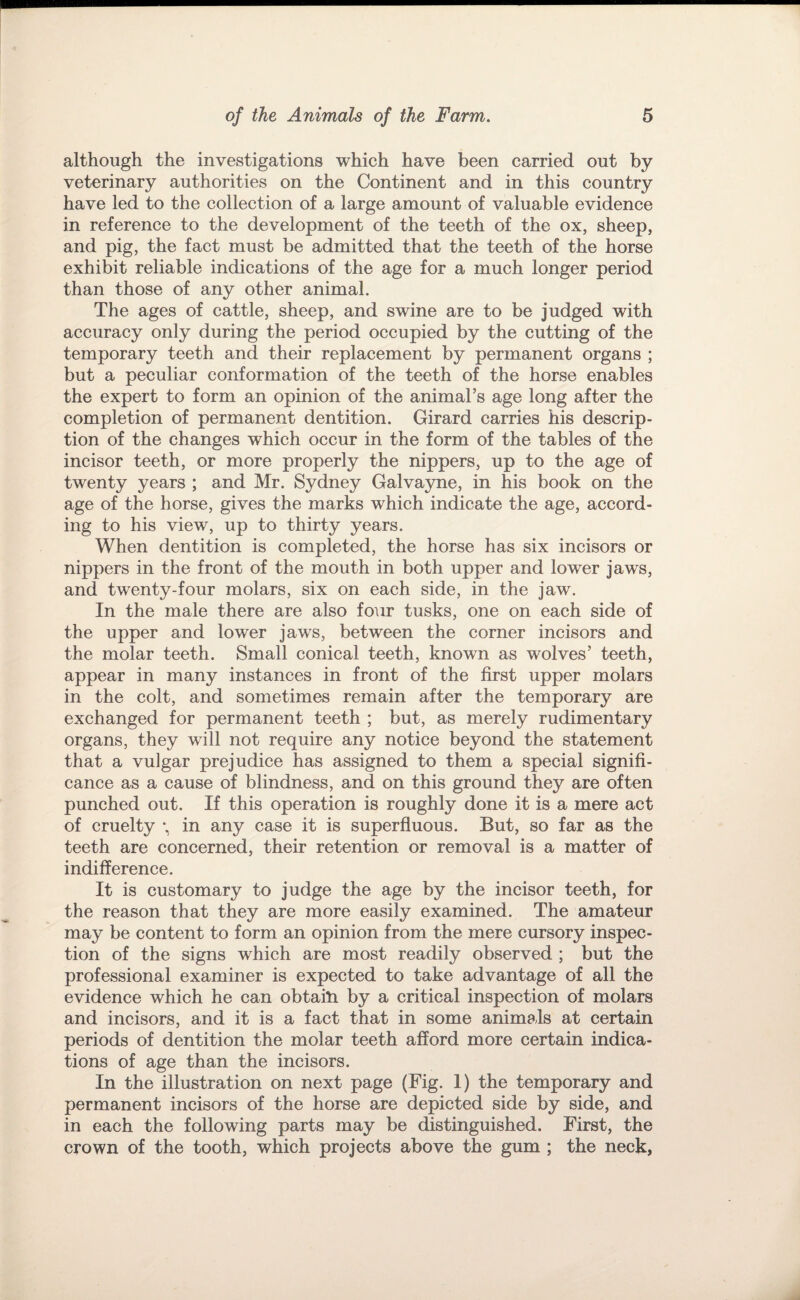 although the investigations which have been carried out by veterinary authorities on the Continent and in this country have led to the collection of a large amount of valuable evidence in reference to the development of the teeth of the ox, sheep, and pig, the fact must be admitted that the teeth of the horse exhibit reliable indications of the age for a much longer period than those of any other animal. The ages of cattle, sheep, and swine are to be judged with accuracy only during the period occupied by the cutting of the temporary teeth and their replacement by permanent organs ; but a peculiar conformation of the teeth of the horse enables the expert to form an opinion of the animal’s age long after the completion of permanent dentition. Girard carries his descrip¬ tion of the changes which occur in the form of the tables of the incisor teeth, or more properly the nippers, up to the age of twenty years ; and Mr. Sydney Galva3rne, in his book on the age of the horse, gives the marks which indicate the age, accord¬ ing to his view, up to thirty years. When dentition is completed, the horse has six incisors or nippers in the front of the mouth in both upper and lower jaws, and twenty-four molars, six on each side, in the jaw. In the male there are also four tusks, one on each side of the upper and lower jaws, between the corner incisors and the molar teeth. Small conical teeth, known as wolves’ teeth, appear in manj^ instances in front of the first upper molars in the colt, and sometimes remain after the temporary are exchanged for permanent teeth ; but, as merely rudimentary organs, they will not require any notice beyond the statement that a vulgar prejudice has assigned to them a special signifi¬ cance as a cause of blindness, and on this ground they are often punched out. If this operation is roughly done it is a mere act of cruelty in any case it is superfluous. But, so far as the teeth are concerned, their retention or removal is a matter of indifference. It is customary to judge the age by the incisor teeth, for the reason that they are more easily examined. The amateur may be content to form an opinion from the mere cursory inspec¬ tion of the signs which are most readily observed ; but the professional examiner is expected to take advantage of all the evidence which he can obtain by a critical inspection of molars and incisors, and it is a fact that in some animals at certain periods of dentition the molar teeth afford more certain indica¬ tions of age than the incisors. In the illustration on next page (Fig. I) the temporary and permanent incisors of the horse are depicted side by side, and in each the following parts may be distinguished. First, the crown of the tooth, which projects above the gum ; the neck,