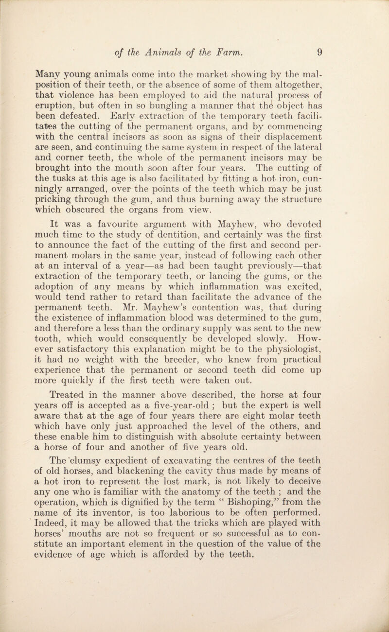 Many young animals come into the market showing by the mal¬ position of their teeth, or the absence of some of them altogether, that violence has been employed to aid the natural process of eruption, but often in so bungling a manner that th4 object has been defeated. Early extraction of the temporary teeth facili¬ tates the cutting of the permanent organs, and by commencing with the central incisors as soon as signs of their displacement are seen, and continuing the same system in respect of the lateral and corner teeth, the whole of the permanent incisors may be brought into the mouth soon after four years. The cutting of the tusks at this age is also facilitated by fitting a hot iron, cun¬ ningly arranged, over the points of the teeth which may be just pricking through the gum, and thus burning away the structure which obscured the organs from view. It was a favourite argument with Mayhew, who devoted much time to the study of dentition, and certainly was the first to announce the fact of the cutting of the first and second per¬ manent molars in the same year, instead of following each other at an interval of a year—as had been taught previously—that extraction of the temporary teeth, or lancing the gums, or the adoption of any means by which inflammation was excited, would tend rather to retard than facilitate the advance of the permanent teeth. Mr. Mayhew’s contention was, that during the existence of inflammation blood was determined to the gum, and therefore a less than the ordinary supply was sent to the new tooth, which would consequently be developed slowly. How¬ ever satisfactory this explanation might be to the physiologist, it had no weight with the breeder, who knew from practical experience that the permanent or second teeth did come up more quickly if the first teeth were taken out. Treated in the manner above described, the horse at four years off is accepted as a five-year-old ; but the expert is well aware that at the age of four years there are eight molar teeth which have only just approached the level of the others, and these enable him to distinguish with absolute certainty between a horse of four and another of five years old. The clumsy expedient of excavating the centres of the teeth of old horses, and blackening the cavity thus made by means of a hot iron to represent the lost mark, is not likely to deceive any one who is familiar with the anatomy of the teeth ; and the operation, which is dignified by the term “ Bishoping,” from the name of its inventor, is too laborious to be often performed. Indeed, it may be allowed that the tricks which are played with horses’ mouths are not so frequent or so successful as to con¬ stitute an important element in the question of the value of the evidence of age which is afforded by the teeth.