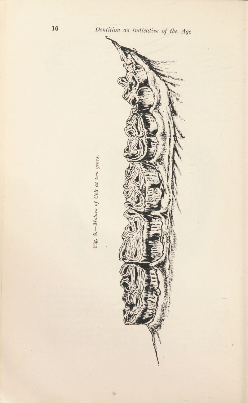 ^ - e >1 i f.-! c o O o iii'V 00 K \V