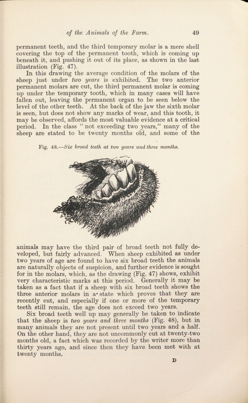 permanent teeth, and the third temporary molar is a mere shell covering the top of the permanent tooth, which is coming up beneath it, and pushing it out of its place, as shown in the last illustration (Fig. 47). In this drawing the average condition of the molars of the sheep just under two years is exhibited. The two anterior permanent molars are cut, the third permanent molar is coming up under the temporary tooth, which in many cases will have fallen out, leaving the permanent organ to be seen below the level of the other teeth. At the back of the jaw the sixth molar is seen, but does not show any marks of wear, and this tooth, it may be observed, affords the most valuable evidence at a critical period. In the class “ not exceeding two years,” many of the sheep are stated to be twenty months old, and some of the Fig. 48.—Six broad teeth at two years and three months. animals may have the third pair of broad teeth not fully de¬ veloped, but fairly advanced. When sheep exhibited as under two years of age are found to have six broad teeth the animals are naturally objects of suspicion, and further evidence is sought for in the molars, which, as the drawing (Fig. 47) shows, exhibit very characteristic marks at this period. Generally it may be taken as a fact that if a sheep with six broad teeth shows the three anterior molars in a* state which proves that they are recently cut, and especially if one or more of the temporary teeth still remain, the age does not exceed two years. Six broad teeth well up may generally be taken to indicate that the sheep is two years and three months (Fig. 48), but in many animals they are not present until two years and a half. On the other hand, they are not uncommonly cut at twenty-two months old, a fact which was recorded by the writer more than thirty years ago, and since then they have been met with at twenty months. D