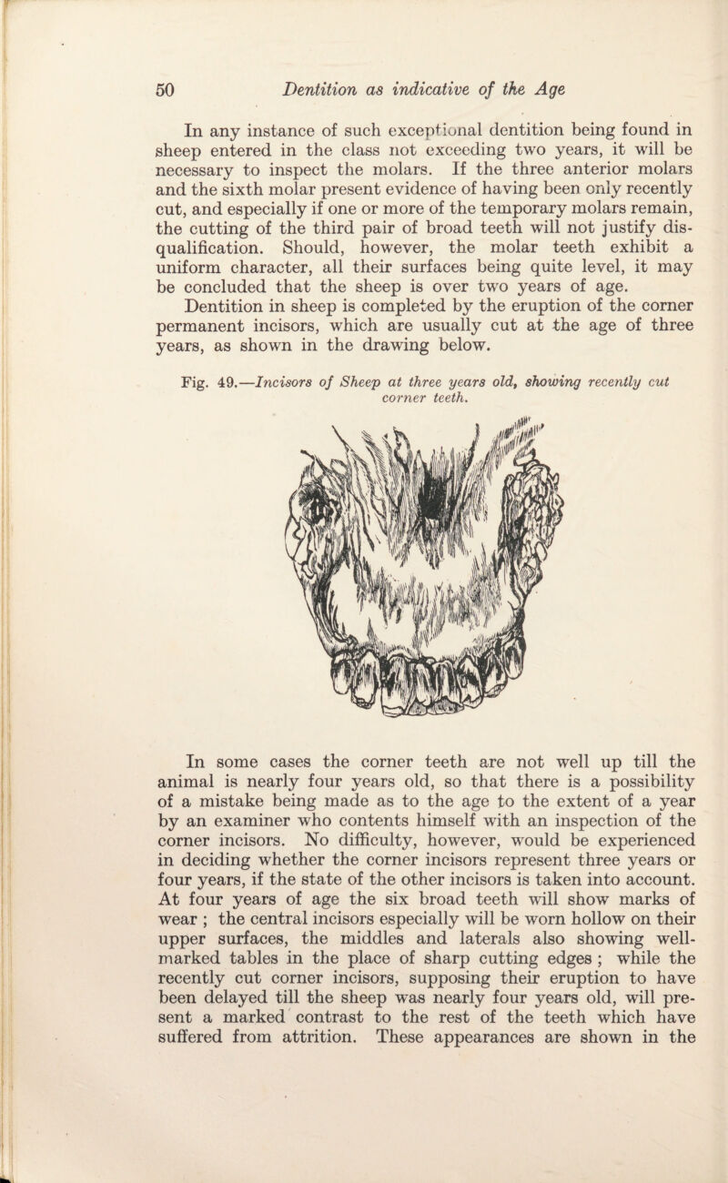 In any instance of such exceptional dentition being found in sheep entered in the class not exceeding two years, it will be necessary to inspect the molars. If the three anterior molars and the sixth molar present evidence of having been only recently cut, and especially if one or more of the temporary molars remain, the cutting of the third pair of broad teeth will not justify dis¬ qualification. Should, however, the molar teeth exhibit a uniform character, all their surfaces being quite level, it may be concluded that the sheep is over two years of age. Dentition in sheep is completed by the eruption of the corner permanent incisors, which are usually cut at the age of three years, as shown in the drawing below. Fig. 49.—Incisors of Sheep at three years old, showing recently cut corner teeth. In some cases the corner teeth are not well up till the animal is nearly four years old, so that there is a possibility of a mistake being made as to the age to the extent of a year by an examiner who contents himself with an inspection of the corner incisors. No difficulty, however, would be experienced in deciding whether the corner incisors represent three years or four years, if the state of the other incisors is taken into account. At four years of age the six broad teeth will show marks of wear ; the central incisors especially will be worn hollow on their upper surfaces, the middles and laterals also showing well- marked tables in the place of sharp cutting edges ; while the recently cut corner incisors, supposing their eruption to have been delayed till the sheep was nearly four years old, will pre¬ sent a marked contrast to the rest of the teeth which have suffered from attrition. These appearances are shown in the