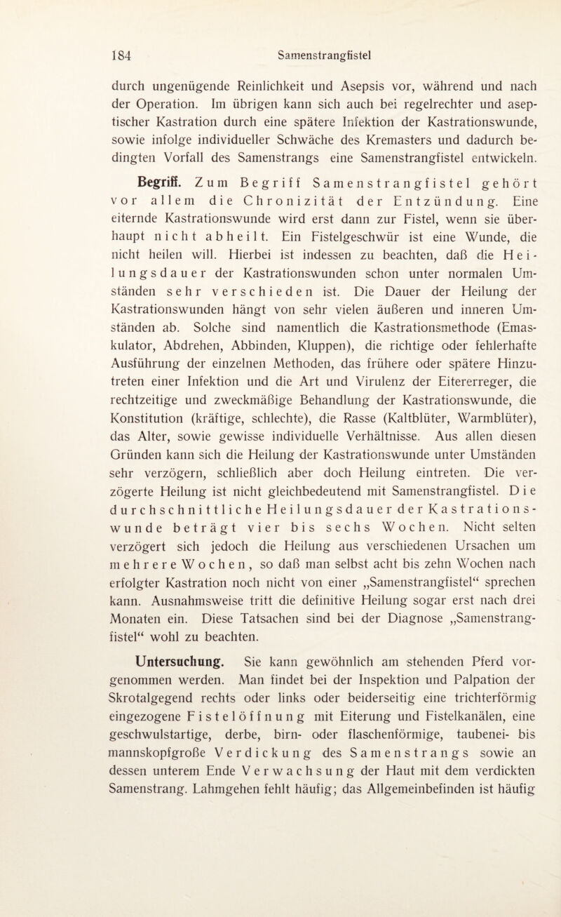 durch ungenügende Reinlichkeit und Asepsis vor, während und nach der Operation. Im übrigen kann sich auch bei regelrechter und asep¬ tischer Kastration durch eine spätere Infektion der Kastrationswunde, sowie infolge individueller Schwäche des Kremasters und dadurch be¬ dingten Vorfall des Samenstrangs eine Samenstrangfistel entwickeln. Begriff. Zum Begriff Samen strangfistel gehört vor allem die Chronizität der Entzündung. Eine eiternde Kastrationswunde wird erst dann zur Fistel, wenn sie über¬ haupt nicht abheilt. Ein Fistelgeschwür ist eine Wunde, die nicht heilen will. Hierbei ist indessen zu beachten, daß die Hei¬ lungsdauer der Kastrationswunden schon unter normalen Um¬ ständen sehr verschieden ist. Die Dauer der Heilung der Kastrationswunden hängt von sehr vielen äußeren und inneren Um¬ ständen ab. Solche sind namentlich die Kastrationsmethode (Emas- kulator, Abdrehen, Abbinden, Kluppen), die richtige oder fehlerhafte Ausführung der einzelnen Methoden, das frühere oder spätere Hinzu¬ treten einer Infektion und die Art und Virulenz der Eitererreger, die rechtzeitige und zweckmäßige Behandlung der Kastrationswunde, die Konstitution (kräftige, schlechte), die Rasse (Kaltblüter, Warmblüter), das Alter, sowie gewisse individuelle Verhältnisse. Aus allen diesen Gründen kann sich die Heilung der Kastrationswunde unter Umständen sehr verzögern, schließlich aber doch Heilung eintreten. Die ver¬ zögerte Heilung ist nicht gleichbedeutend mit Samenstrangfistel. D i e durchschnittliche Heilungsdauer der Kastrations¬ wunde beträgt vier bis sechs Wochen. Nicht selten verzögert sich jedoch die Heilung aus verschiedenen Ursachen um mehrereWochen, so daß man selbst acht bis zehn Wochen nach erfolgter Kastration noch nicht von einer „Samenstrangfistel“ sprechen kann. Ausnahmsweise tritt die definitive Heilung sogar erst nach drei Monaten ein. Diese Tatsachen sind bei der Diagnose „Samenstrang¬ fistel“ wohl zu beachten. Untersuchung. Sie kann gewöhnlich am stehenden Pferd vor¬ genommen werden. Man findet bei der Inspektion und Palpation der Skrotalgegend rechts oder links oder beiderseitig eine trichterförmig eingezogene Fistelöffnung mit Eiterung und Fistelkanälen, eine geschwulstartige, derbe, birn- oder flaschenförmige, taubenei- bis mannskopfgroße Verdickung des Samenstrangs sowie an dessen unterem Ende Verwachsung der Haut mit dem verdickten Samenstrang. Lahmgehen fehlt häufig; das Allgemeinbefinden ist häufig