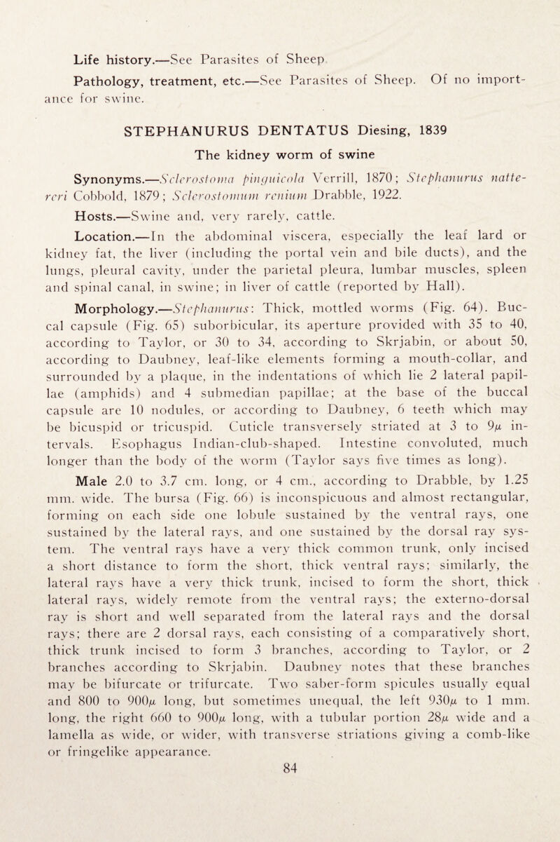 Life history.—See Parasites of Sheep Pathology, treatment, etc.—See Parasites of Sheep. Of no import¬ ance for swine. STEPHANURUS DENTATUS Diesing, 1839 The kidney worm of swine Synonyms.—Sclcrostoma pingiiicola Verrill, 1870; Stcphamirus natte- rcri Cobbold, 1879; Sclcrostomum rcnium Drabble, 1922. Hosts.—Swine and, very rarely, cattle. Location.—In the abdominal viscera, especially the leaf lard or kidney fat, the liver (including the portal vein and bile ducts), and the lungs, pleural cavity, under the parietal pleura, lumbar muscles, spleen and spinal canal, in swine; in liver of cattle (reported by Hall). Morphology.—Stcphamirus: Thick, mottled worms (Fig. 64). Buc¬ cal capsule (Fig. 65) suborbicular, its aperture provided with 35 to 40, according to Taylor, or 30 to 34, according to Skrjabin, or about 50, according to Daubney, leaf-like elements forming a mouth-collar, and surrounded by a plaque, in the indentations of which lie 2 lateral papil¬ lae (amphids) and 4 submedian papillae; at the base of the buccal capsule are 10 nodules, or according to Daubney, 6 teeth which may be bicuspid or tricuspid. Cuticle transversely striated at 3 to 9g in¬ tervals. Esophagus Indian-club-shaped. Intestine convoluted, much longer than the body of the worm (Taylor says five times as long). Male 2.0 to 3.7 cm. long, or 4 cm., according to Drabble, by 1.25 mm. wide. The bursa (Fig. 66) is inconspicuous and almost rectangular, forming on each side one lobule sustained by the ventral rays, one sustained by the lateral rays, and one sustained by the dorsal ray sys¬ tem. The ventral rays have a very thick common trunk, only incised a short distance to form the short, thick ventral rays; similarly, the lateral rays have a very thick trunk, incised to form the short, thick lateral rays, widely remote from the ventral rays; the externo-dorsal ray is short and well separated from the lateral rays and the dorsal rays; there are 2 dorsal rays, each consisting of a comparatively short, thick trunk incised to form 3 branches, according to Taylor, or 2 branches according to Skrjabin. Daubney notes that these branches may be bifurcate or trifurcate. Two saber-form spicules usually equal and 800 to 900g long, but sometimes unequal, the left 930g to 1 mm. long, the right 660 to 900g long, with a tubular portion 28g wide and a lamella as wide, or wider, with transverse striations giving a comb-like or fringelike appearance.