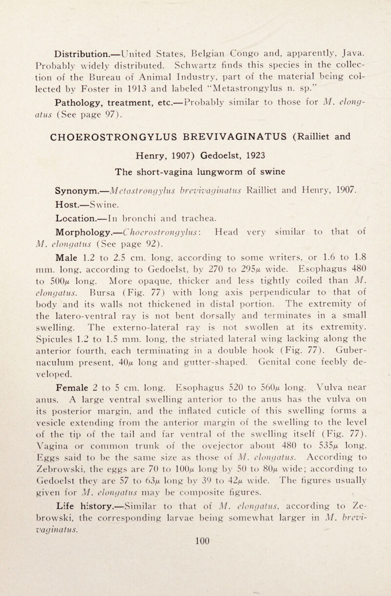 Distribution.—United States, Belgian Congo and, apparently, Java. Probably widely distributed. Schwartz finds this species in the collec¬ tion of the Bureau of Animal Industry, part of the material being col¬ lected by Foster in 1913 and labeled “Metastrongylus n. sp.” Pathology, treatment, etc.—Probably similar to those for M. elong¬ atus (See page 97). CHOEROSTRONGYLUS BREVIVAGINATUS (Railliet and Henry, 1907) Gedoelst, 1923 The short-vagina lungworm of swine Synonym.—Metastrongylus brevivaghiatus Railliet and Henry, 1907. Host.—Swine. Location.—In bronchi and trachea. Morphology.—Choerostrongylus: Head very similar to that of M. elongatus (See page 92). Male 1.2 to 2.5 cm. long, according to some writers, or 1.6 to 1.8 mm. long, according to Gedoelst, by 270 to 295g wide. Esophagus 480 to 500g long. More opaque, thicker and less tightly coiled than M. elongatus. Bursa (Fig. 77) with long axis perpendicular to that of body and its walls not thickened in distal portion. The extremity of the latero-ventral ray is not bent dorsally and terminates in a small swelling. The externo-lateral ray is not swollen at its extremity. Spicules 1.2 to 1.5 mm. long, the striated lateral wing lacking along the anterior fourth, each terminating in a double hook (Fig. 77). Guber- naculum present, 40g long and gutter-shaped. Genital cone feebly de¬ veloped. Female 2 to 5 cm. long. Esophagus 520 to 560g long. Vulva near anus. A large ventral swelling anterior to the anus has the vulva on its posterior margin, and the inflated cuticle of this swelling forms a vesicle extending from the anterior margin of the swelling to the level of the tip of the tail and far ventral of the swelling itself (Fig. 77). Vagina or common trunk of the ovejector about 480 to 535g long. Eggs said to be the same size as those ot M. elongatus. According to Zebrowski, the eggs are 70 to 100g long by 50 to 80g wide; according to Gedoelst they are 57 to 63g long by 39 to 42g wide. The figures usually given for M. elongatus may be composite figures. Life history.—Similar to that of M. elongatus, according to Ze¬ browski, the corresponding larvae being somewhat larger in M. brevi- vaginatus.