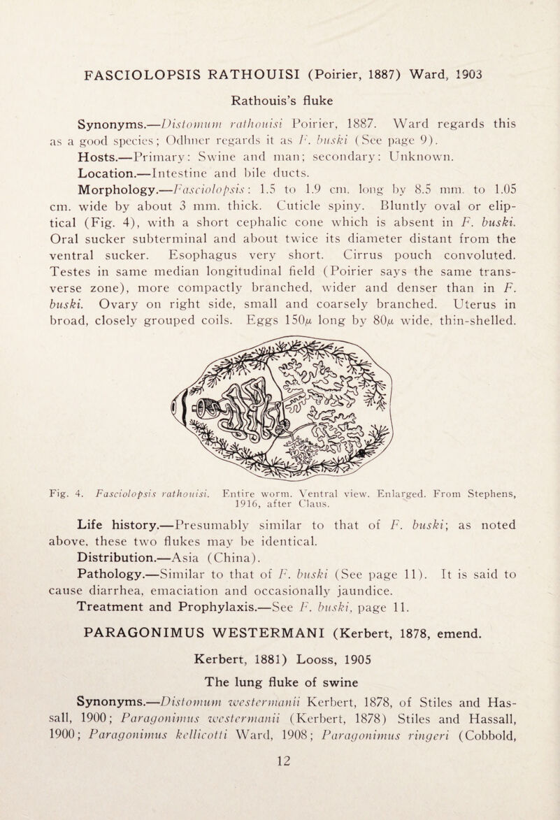 FASCIOLOPSIS RATHOUISI (Poirier, 1887) Ward, 1903 Rathouis’s fluke Synonyms.—Distomum rathouisi Poirier, 1887. Ward regards this as a good species; Odhner regards it as ]•'. buski (See page 9). Hosts.—Primary: Swine and man; secondary: Unknown. Location.— Intestine and bile ducts. Morphology.—Fasciolopsis: 1.5 to 1.9 cm. long by 8.5 mm. to 1.05 cm. wide by about 3 mm. thick. Cuticle spiny. Bluntly oval or elip- tical (Fig. 4), with a short cephalic cone which is absent in F. baski. Oral sucker subterminal and about twice its diameter distant from the ventral sucker. Esophagus very short. Cirrus pouch convoluted. Testes in same median longitudinal field (Poirier says the same trans¬ verse zone), more compactly branched, wider and denser than in F. buski. Ovary on right side, small and coarsely branched. Uterus in broad, closely grouped coils. Eggs 150u long by 80g wide, thin-shelled. Fig. 4. Fasciolopsis rathouisi. Entire worm. Ventral view. Enlarged. From Stephens, 1916, after Claus. Life history.—Presumably similar to that of F. buski; as noted above, these two flukes may be identical. Distribution.—Asia (China). Pathology.—Similar to that of F. buski (See page 11). It is said to cause diarrhea, emaciation and occasionally jaundice. Treatment and Prophylaxis.—See F. buski, page 11. PARAGONIMUS WESTERMANI (Kerbert, 1878, emend. Kerbert, 1881) Looss, 1905 The lung fluke of swine Synonyms.—Distomum westermanii Kerbert, 1878, of Stiles and Has- sall, 1900; Paragonimus westermanii (Kerbert, 1878) Stiles and Hassall, 1900; Paragonimus kellicotli Ward, 1908; Paragonimus ringeri (Cobbold,
