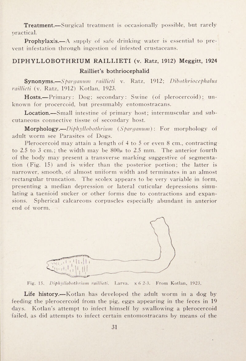 Treatment.—Surgical treatment is occasionally possible, but rarely practical. Prophylaxis.—A supply of safe drinking water is essential to pre¬ vent infestation through ingestion of infested crustaceans. DIPHYLLOBOTHRIUM RAILLIETI (v. Ratz, 1912) Meggitt, 1924 Railliet’s bothriocephalid Synonyms.—Sparganum raillieti v. Ratz, 1912; Dibothriocephahis raillieti (v. Ratz, 1912) Kotlan, 1923. Hosts.—Primary: Dog; secondary; Swine (of plerocercoid); un¬ known for procercoid, but presumably entomostracans. Location.—Small intestine of primary host; intermuscular and sub¬ cutaneous connective tissue of secondary host. Morphology.—Diphyllobothrium (Sparganum) : For morphology of adult worm see Parasites of Dogs. Plerocercoid may attain a length of 4 to 5 or even 8 cm., contracting to 2.5 to 3 cm.; the width may be 800^ to 2.5 mm. The anterior fourth of the body may present a transverse marking suggestive of segmenta¬ tion (Fig. 15) and is wider than the posterior portion; the latter is narrower, smooth, of almost uniform width and terminates in an almost rectangular truncation. The scolex appears to be very variable in form, presenting a median depression or lateral cuticular depressions simu¬ lating a taenioid sucker or other forms due to contractions and expan¬ sions. Spherical calcareous corpuscles especially abundant in anterior end of worm. Fig. 15. Diphyllobothrium raillieti. Larva, x 6 2-3. From Kotlan, 1923. Life history.—Kotlan has developed the adult worm in a dog by feeding the plerocercoid from the pig, eggs appearing in the feces in 19 days. Kotlan’s attempt to infect himself by swallowing a plerocercoid failed, as did attempts to infect certain entomostracans by means of the