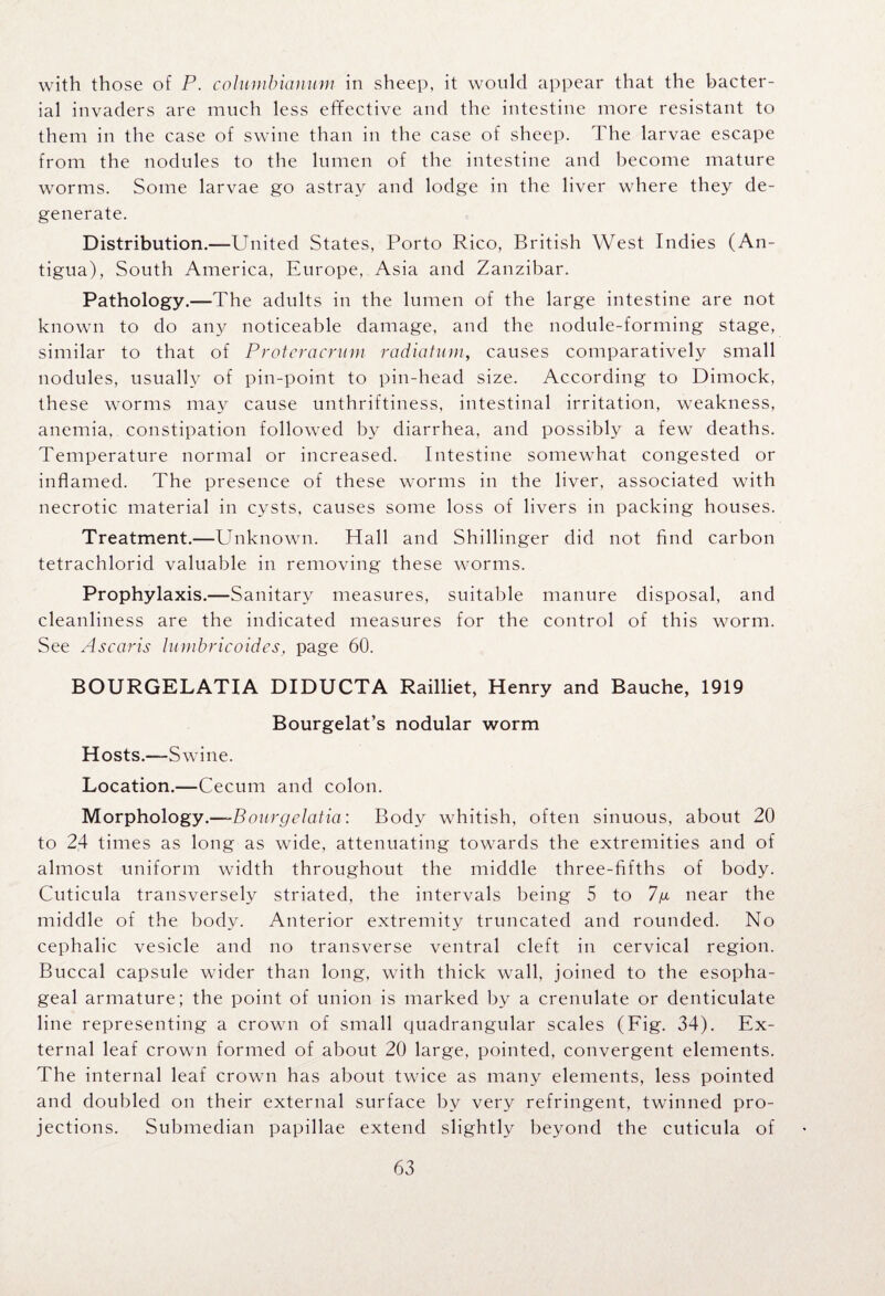 with those of P. columbianum in sheep, it would appear that the bacter¬ ial invaders are much less effective and the intestine more resistant to them in the case of swine than in the case of sheep. The larvae escape from the nodules to the lumen of the intestine and become mature worms. Some larvae go astray and lodge in the liver where they de¬ generate. Distribution.—United States, Porto Rico, British West Indies (An¬ tigua), South America, Europe, Asia and Zanzibar. Pathology.—The adults in the lumen of the large intestine are not known to do any noticeable damage, and the nodule-forming stage, similar to that of Protcracrum radio turn, causes comparatively small nodules, usually of pin-point to pin-head size. According to Dimock, these worms may cause unthriftiness, intestinal irritation, weakness, anemia, constipation followed by diarrhea, and possibly a few deaths. Temperature normal or increased. Intestine somewhat congested or inflamed. The presence of these worms in the liver, associated with necrotic material in cysts, causes some loss of livers in packing houses. Treatment.—Unknown. Hall and Shillinger did not find carbon tetrachlorid valuable in removing these worms. Prophylaxis.—Sanitary measures, suitable manure disposal, and cleanliness are the indicated measures for the control of this worm. See Ascaris lumbricoides, page 60. BOURGELATIA DIDUCTA Railliet, Henry and Bauche, 1919 Bourgelat’s nodular worm Hosts.—Swine. Location.—-Cecum and colon. Morphology.—Bourgelatia: Body whitish, often sinuous, about 20 to 24 times as long as wide, attenuating towards the extremities and of almost uniform width throughout the middle three-fifths of body. Cuticula transversely striated, the intervals being 5 to 7g near the middle of the body. Anterior extremity truncated and rounded. No cephalic vesicle and no transverse ventral cleft in cervical region. Buccal capsule wider than long, with thick wall, joined to the esopha¬ geal armature; the point of union is marked by a crenulate or denticulate line representing a crown of small quadrangular scales (Fig. 34). Ex¬ ternal leaf crown formed of about 20 large, pointed, convergent elements. The internal leaf crown has about twice as many elements, less pointed and doubled on their external surface by very refringent, twinned pro¬ jections. Submedian papillae extend slightly beyond the cuticula of