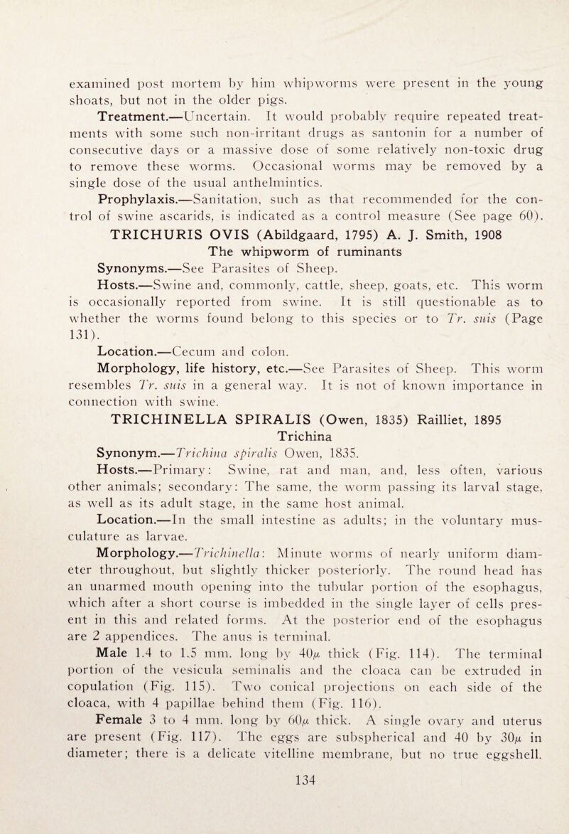 examined post mortem by him whipworms were present in the young shoats, but not in the older pigs. Treatment.—Uncertain. It would probably require repeated treat¬ ments with some such non-irritant drugs as santonin for a number of consecutive days or a massive dose of some relatively non-toxic drug to remove these worms. Occasional worms may be removed by a single dose of the usual anthelmintics. Prophylaxis.—Sanitation, such as that recommended for the con¬ trol of swine ascarids, is indicated as a control measure (See page 60). TRICHURIS OVIS (Abildgaard, 1795) A. J. Smith, 1908 The whipworm of ruminants Synonyms.—See Parasites of Sheep. Hosts.—Swine and, commonly, cattle, sheep, goats, etc. This worm is occasionally reported from swine. It is still questionable as to whether the worms found belong to this species or to TV. suis (Page 131). Location.—Cecum and colon. Morphology, life history, etc.—-See Parasites of Sheep. This worm resembles TV. suis in a general way. It is not of known importance in connection with swine. TRICHINELLA SPIRALIS (Owen, 1835) Railliet, 1895 Trichina Synonym.—Trichina spiralis Owen, 1835. Hosts.—Primary: Swine, rat and man, and, less often, various other animals; secondary: The same, the worm passing its larval stage, as well as its adult stage, in the same host animal. Location.— In the small intestine as adults; in the voluntary mus¬ culature as larvae. Morphology.—Trichinclla: Minute worms of nearly uniform diam¬ eter throughout, but slightly thicker posteriorly. The round head has an unarmed mouth opening into the tubular portion of the esophagus, which after a short course is imbedded in the single layer of cells pres¬ ent in this and related forms. At the posterior end of the esophagus are 2 appendices. The anus is terminal. Male 1.4 to 1.5 mm. long by 40^ thick (Fig. 114). The terminal portion of the vesicula seminalis and the cloaca can be extruded in copulation (Fig. 115). Two conical projections on each side of the cloaca, with 4 papillae behind them (Fig. 116). Female 3 to 4 mm. long by 60/x thick. A single ovary and uterus are present (Fig. 117). The eggs are subspherical and 40 by 30^ in diameter; there is a delicate vitelline membrane, but no true eggshell.