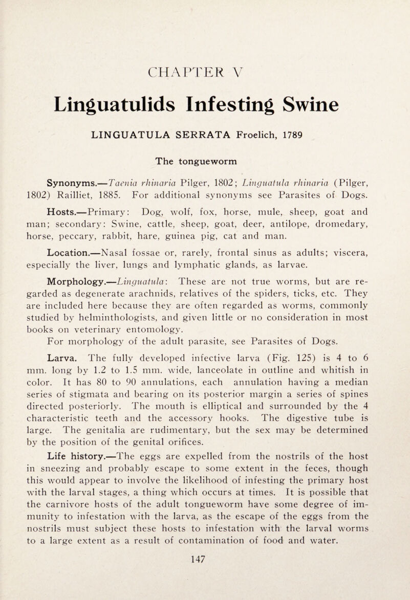 Linguatulids Infesting Swine LINGUATULA SERRATA Froelich, 1789 The tongueworm Synonyms.—-Taenia rhinaria Pilger, 1802; Linguatula rhinaria (Pilger, 1802) Railliet, 1885. For additional synonyms see Parasites of Dogs. Hosts.-—Primary: Dog, wolf, fox, horse, mule, sheep, goat and man; secondary: Swine, cattle, sheep, goat, deer, antilope, dromedary, horse, peccary, rabbit, hare, guinea pig, cat and man. Location.—Nasal fossae or, rarely, frontal sinus as adults; viscera, especially the liver, lungs and lymphatic glands, as larvae. Morphology.—Linguatula: These are not true worms, but are re¬ garded as degenerate arachnids, relatives of the spiders, ticks, etc. They are included here because they are often regarded as worms, commonly studied by helminthologists, and given little or no consideration in most books on veterinary entomology. For morphology of the adult parasite, see Parasites of Dogs. Larva. The fully developed infective larva (Fig. 125) is 4 to 6 mm. long by 1.2 to 1.5 mm. wide, lanceolate in outline and whitish in color. It has 80 to 90 annulations, each annulation having a median series of stigmata and bearing on its posterior margin a series of spines directed posteriorly. The mouth is elliptical and surrounded by the 4 characteristic teeth and the accessory hooks. The digestive tube is large. The genitalia are rudimentary, but the sex may be determined by the position of the genital orifices. Life history.—The eggs are expelled from the nostrils of the host in sneezing and probably escape to some extent in the feces, though this would appear to involve the likelihood of infesting the primary host with the larval stages, a thing which occurs at times. It is possible that the carnivore hosts of the adult tongueworm have some degree of im¬ munity to infestation with the larva, as the escape of the eggs from the nostrils must subject these hosts to infestation with the larval worms to a large extent as a result of contamination of food and water.